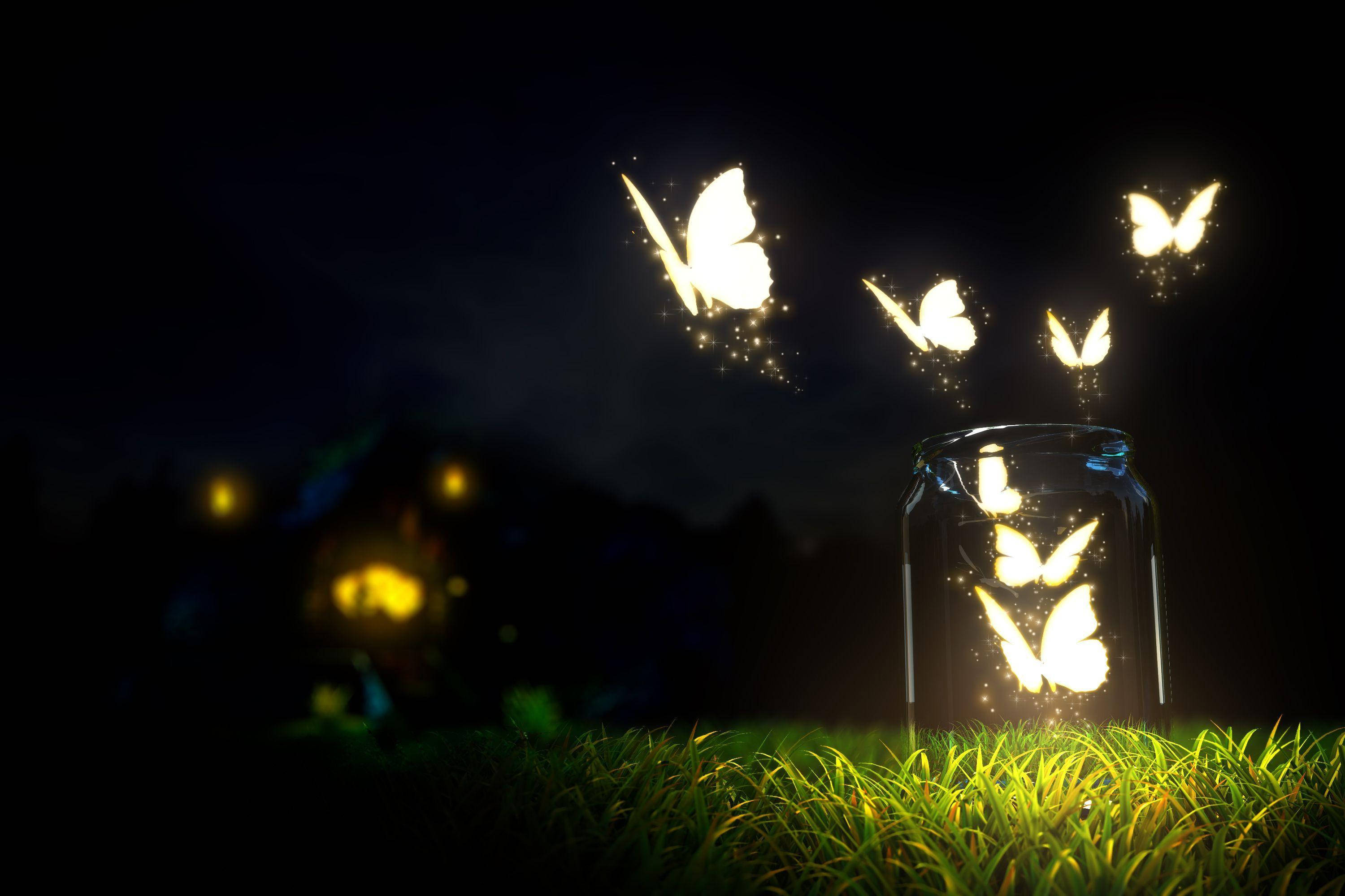 Night Butterfly, glass jar, dark grass, 2K Desktop Wallpaper