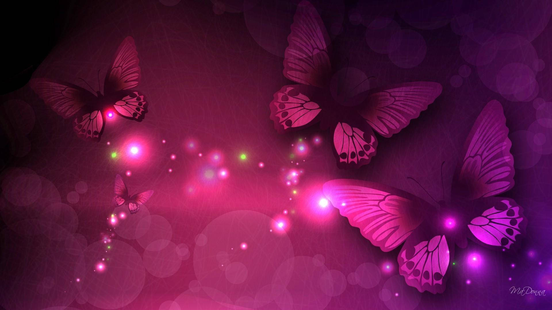 Neon Pink Night Butterfly, glowing pink, purple butterflies, Full HD Desktop Wallpaper