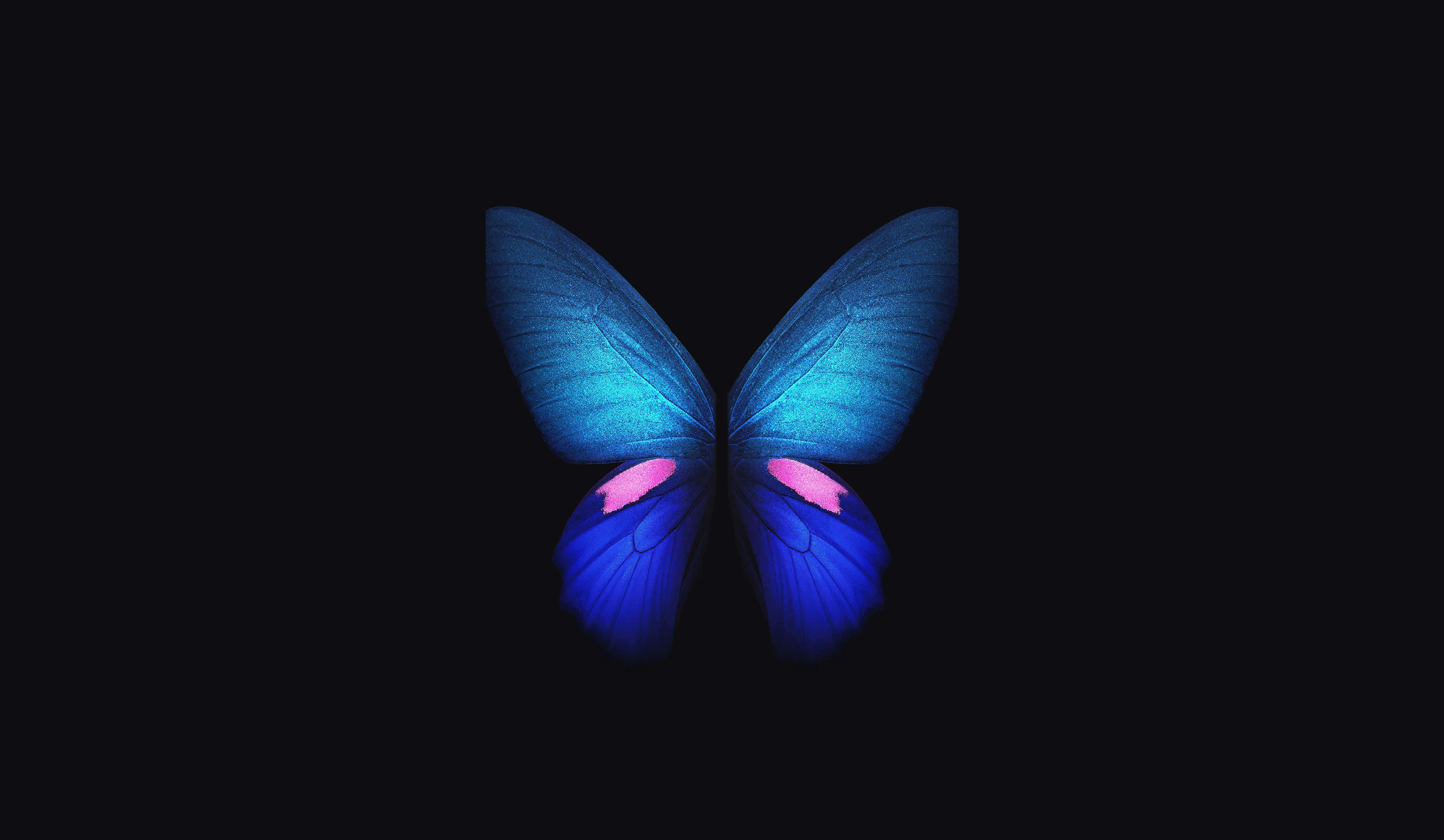 Dark Butterfly, 4400 x 2560, luminous blue butterfly, 4K Desktop Wallpaper