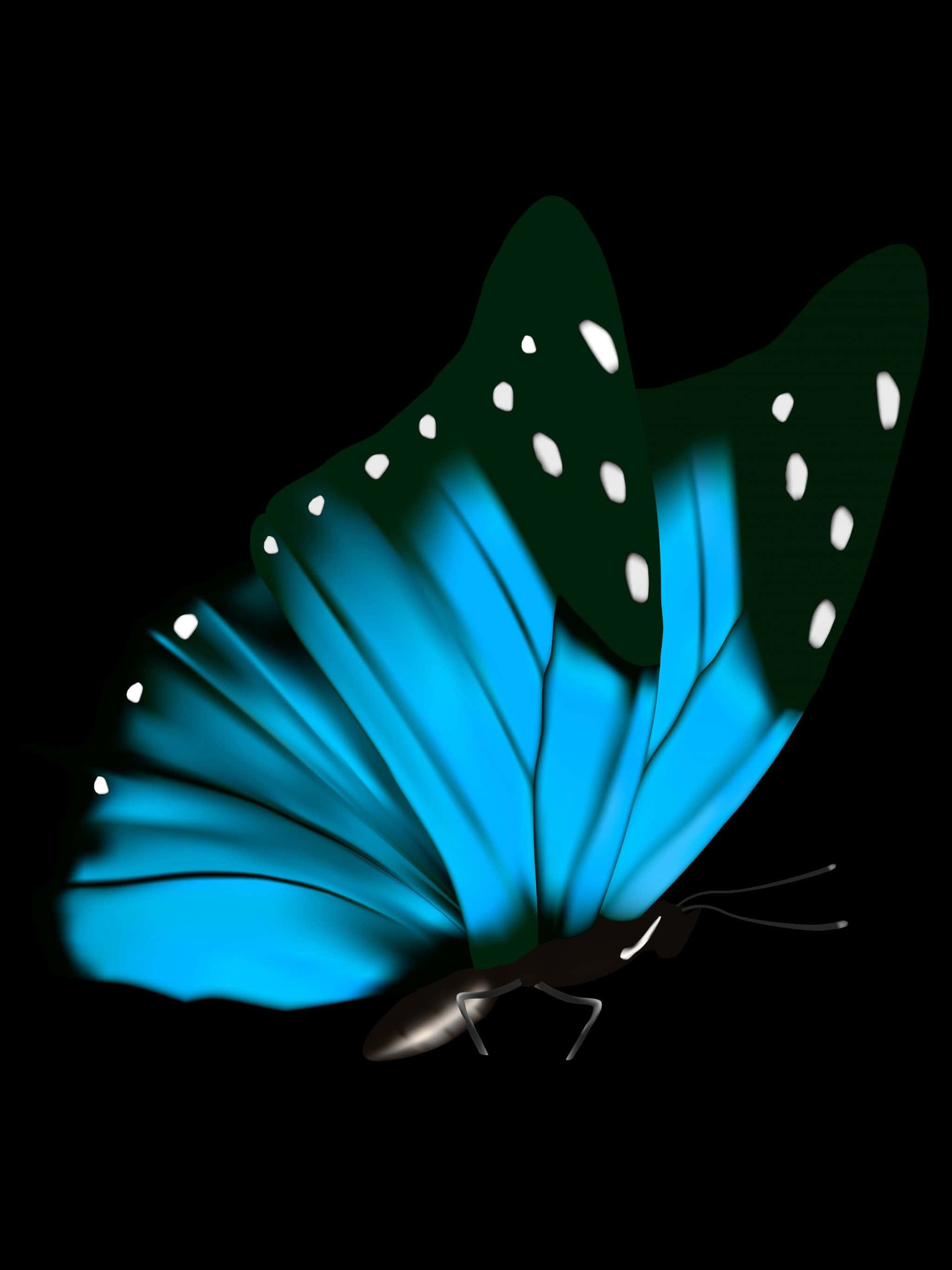 Dark Butterfly, vibrant blue, green butterfly, 2K Phone Wallpaper