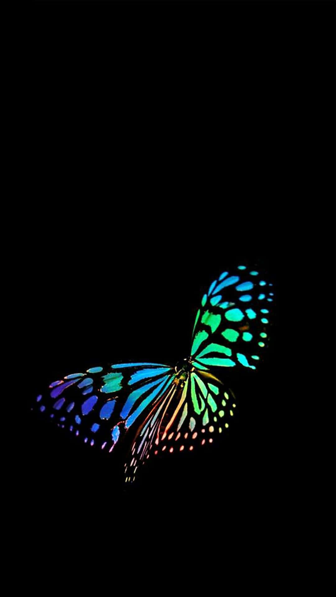 Dark Butterfly, midnight bloom, iridescent butterfly, Full HD Phone Wallpaper