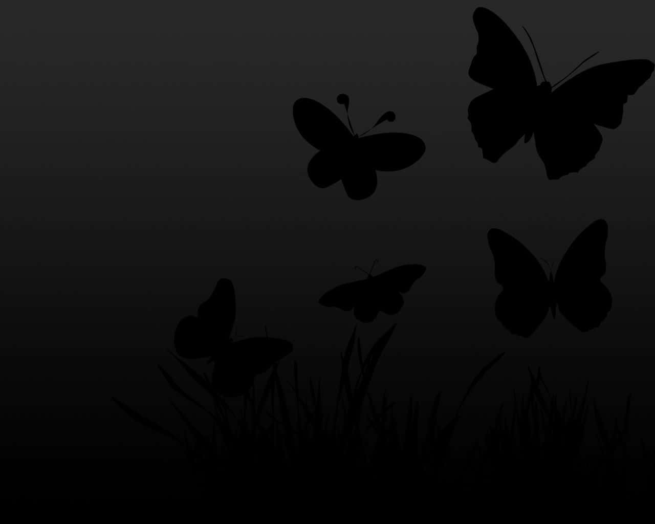 Dark Butterfly, silhouetted butterflies, grass, HD Desktop Wallpaper