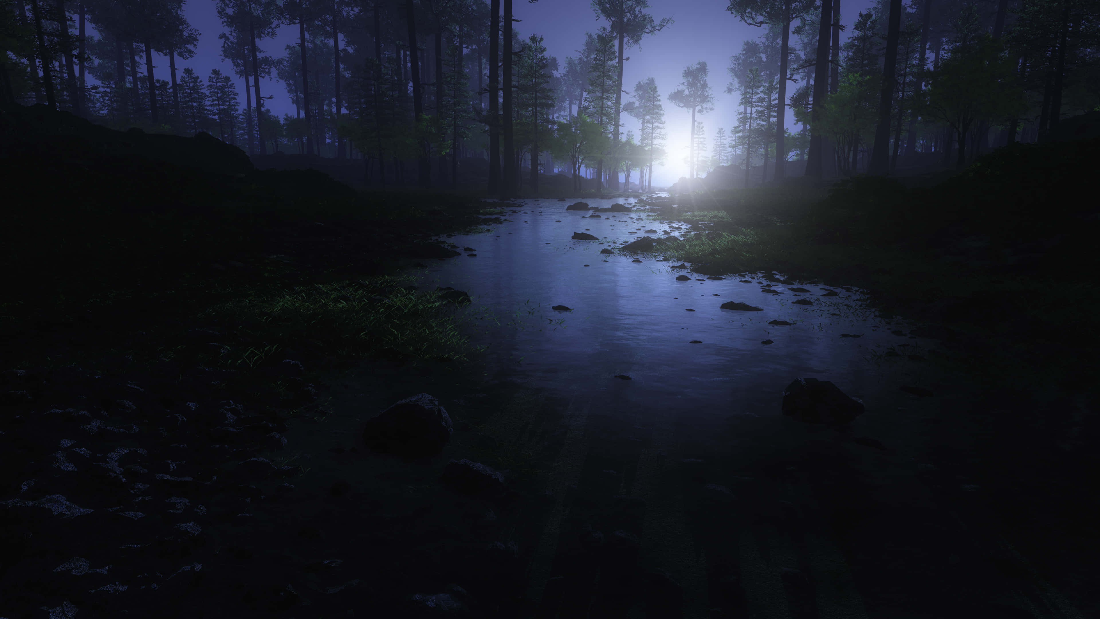 Night Forest, misty forest stream, distant moonlight, 4K Desktop Wallpaper