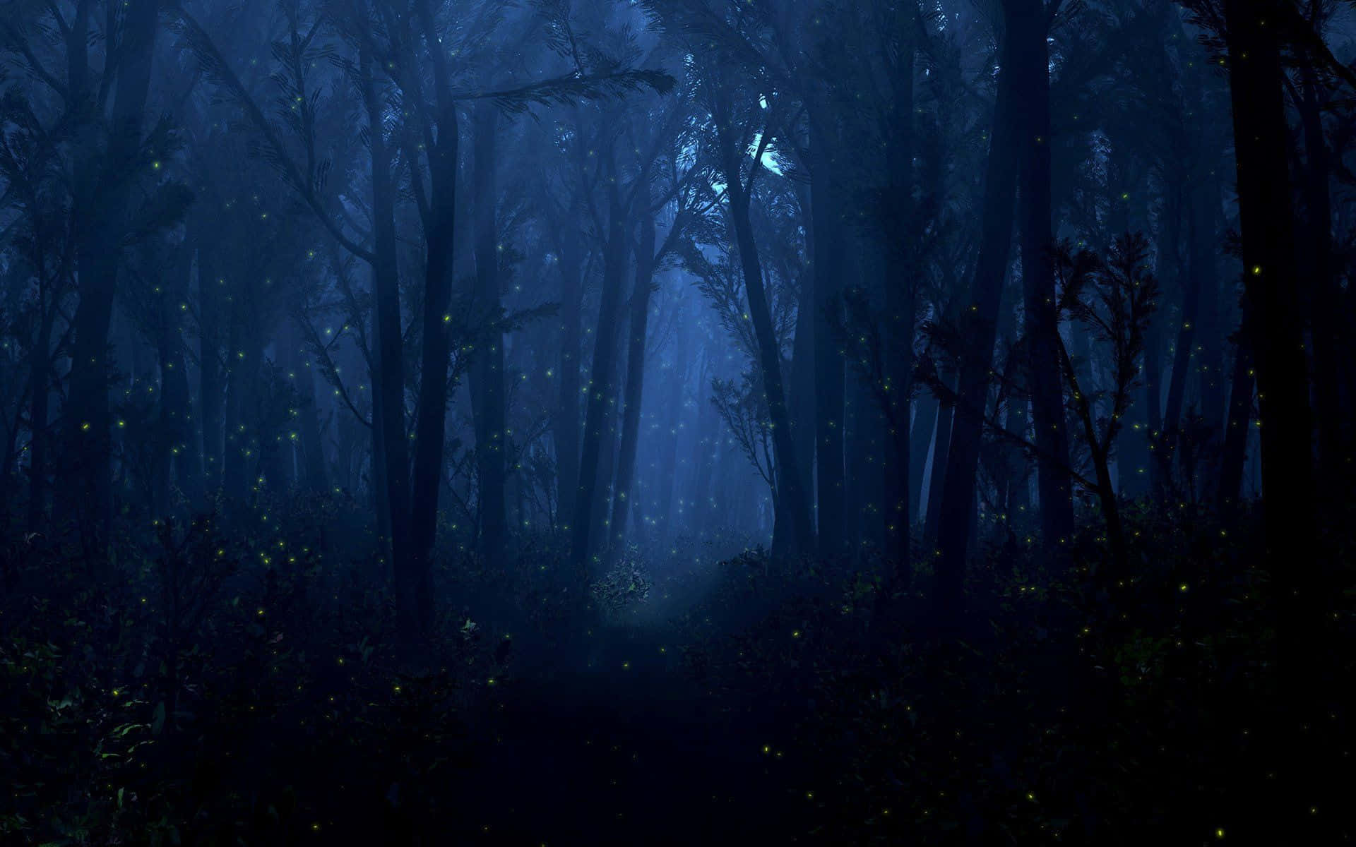 Night Forest, misty blue forest, glowing fireflies, Full HD Desktop Wallpaper