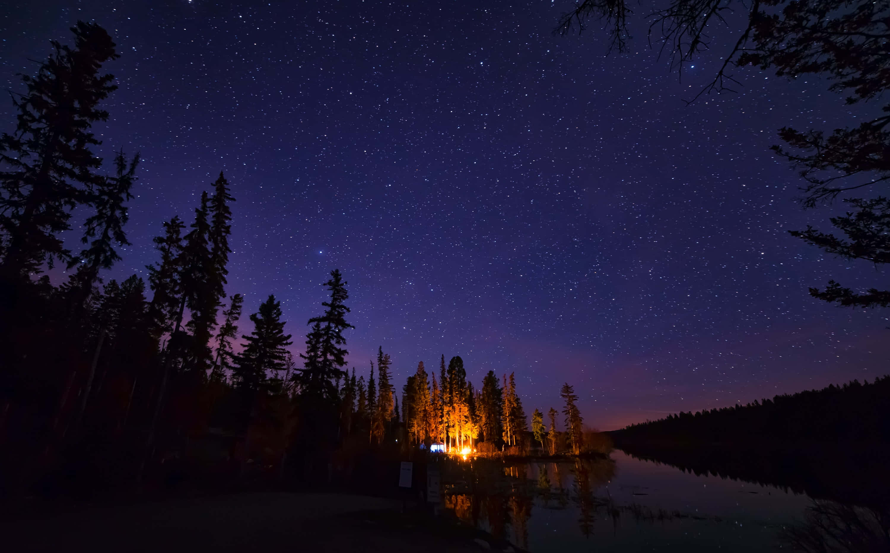 Night Forest, starry night sky, calm lake, 2K Desktop Wallpaper