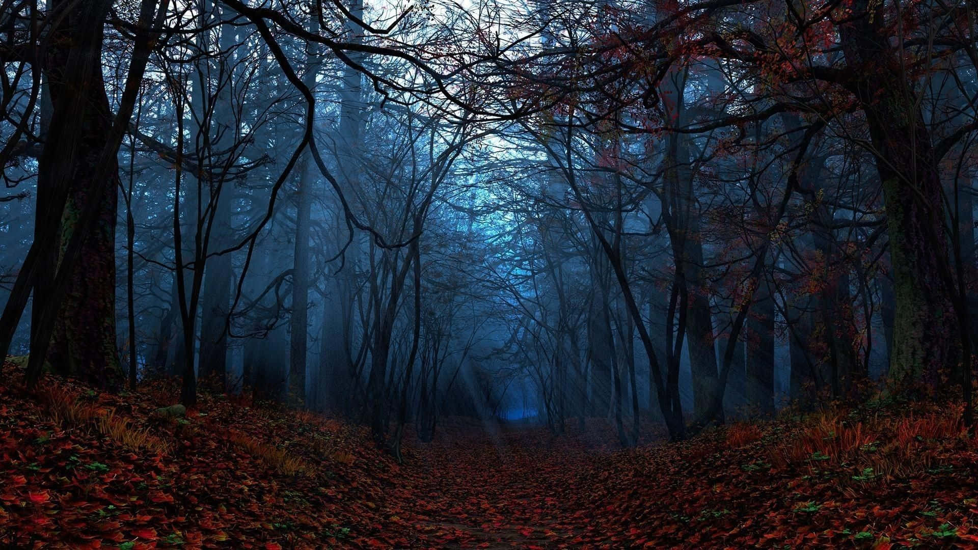 Night Forest, crimson fallen leaves, cool blue twilight sky, Full HD Desktop Wallpaper