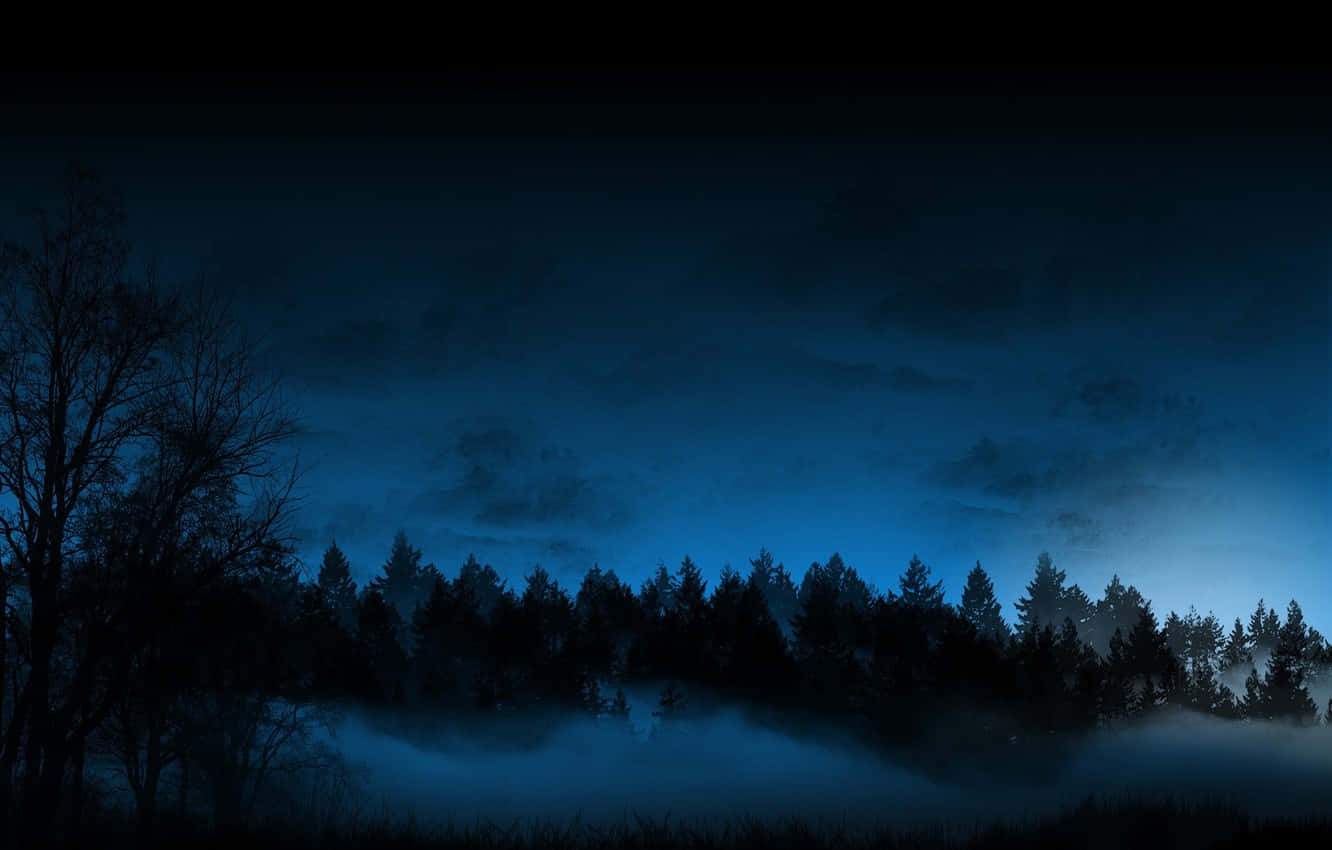 Night Forest, misty forest, twilight, HD Desktop Wallpaper