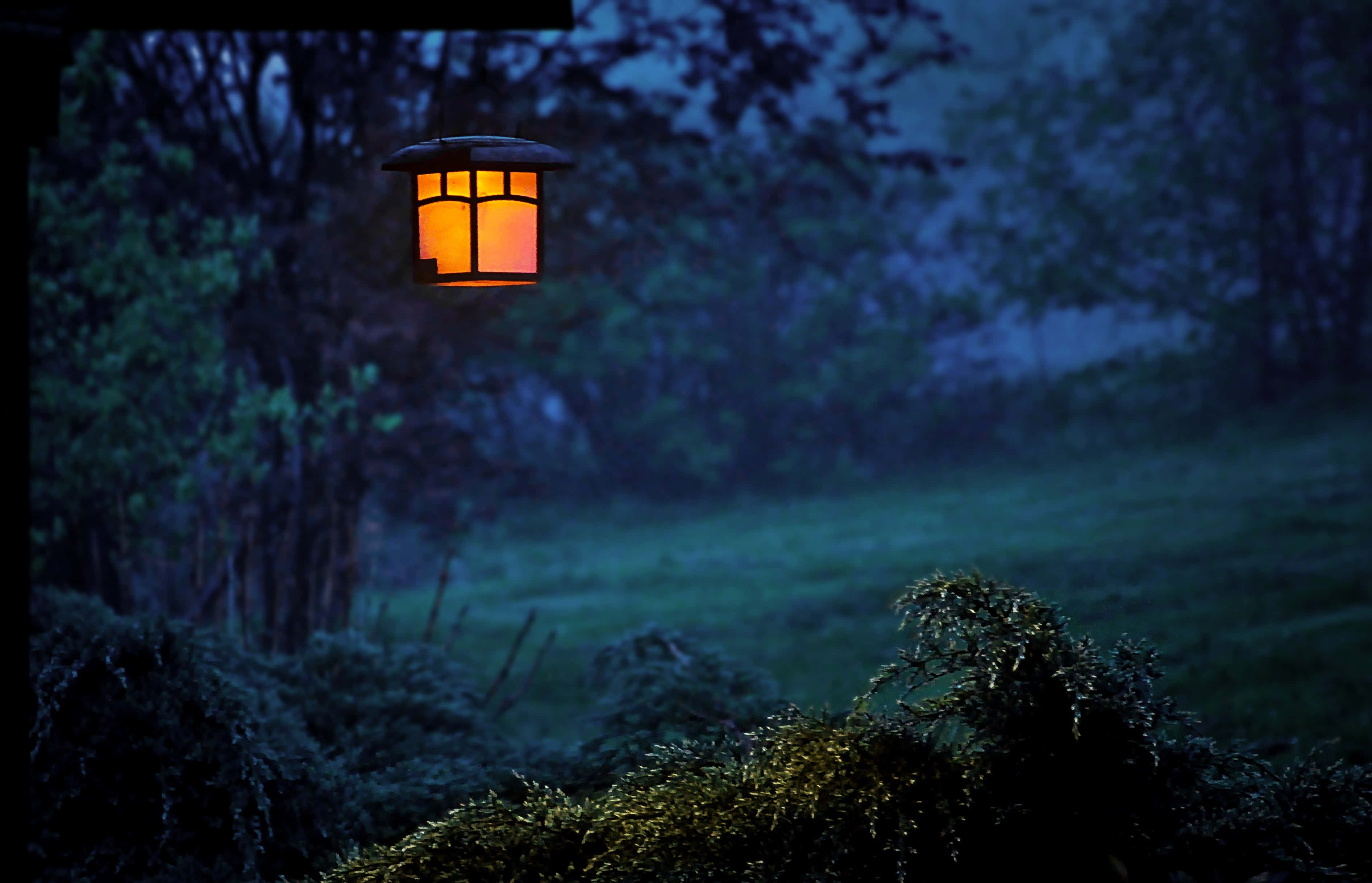 Night Forest, glowing lantern, misty twilight garden, 2K Desktop Wallpaper