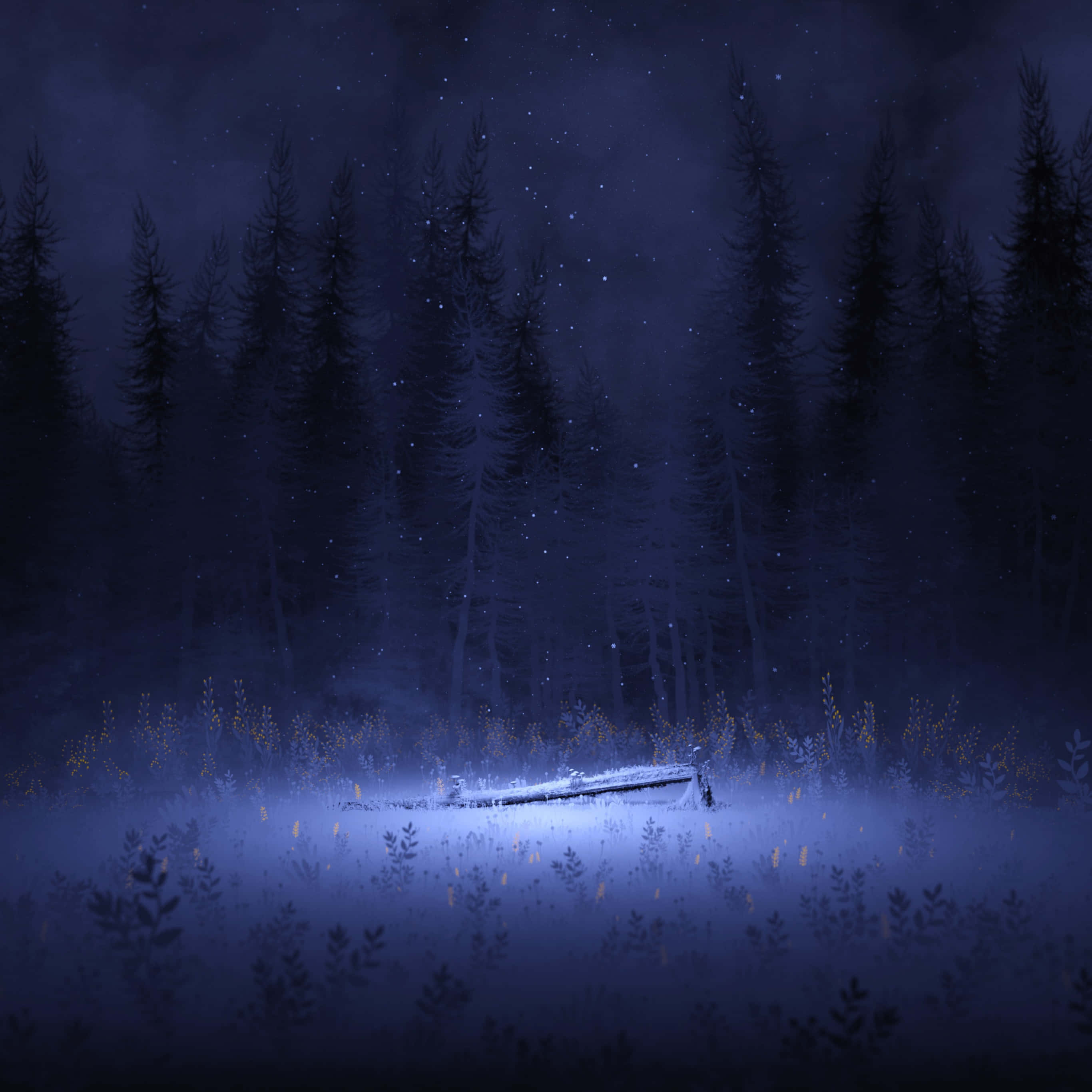 Night Forest, misty winter forest, starry night sky, 2K Desktop Wallpaper