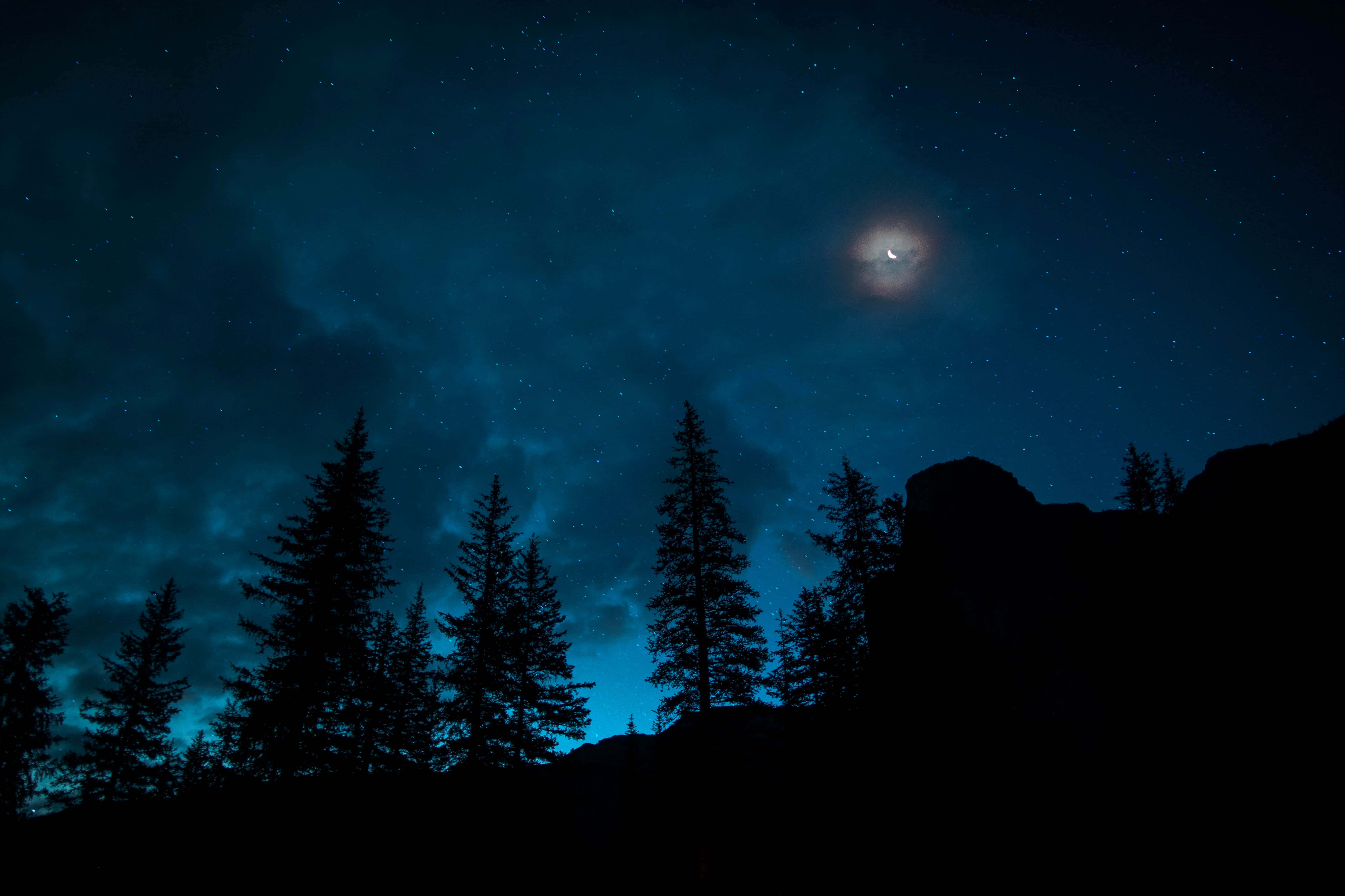 Night Forest, pine trees, rocky outcrop, 5K Desktop Wallpaper