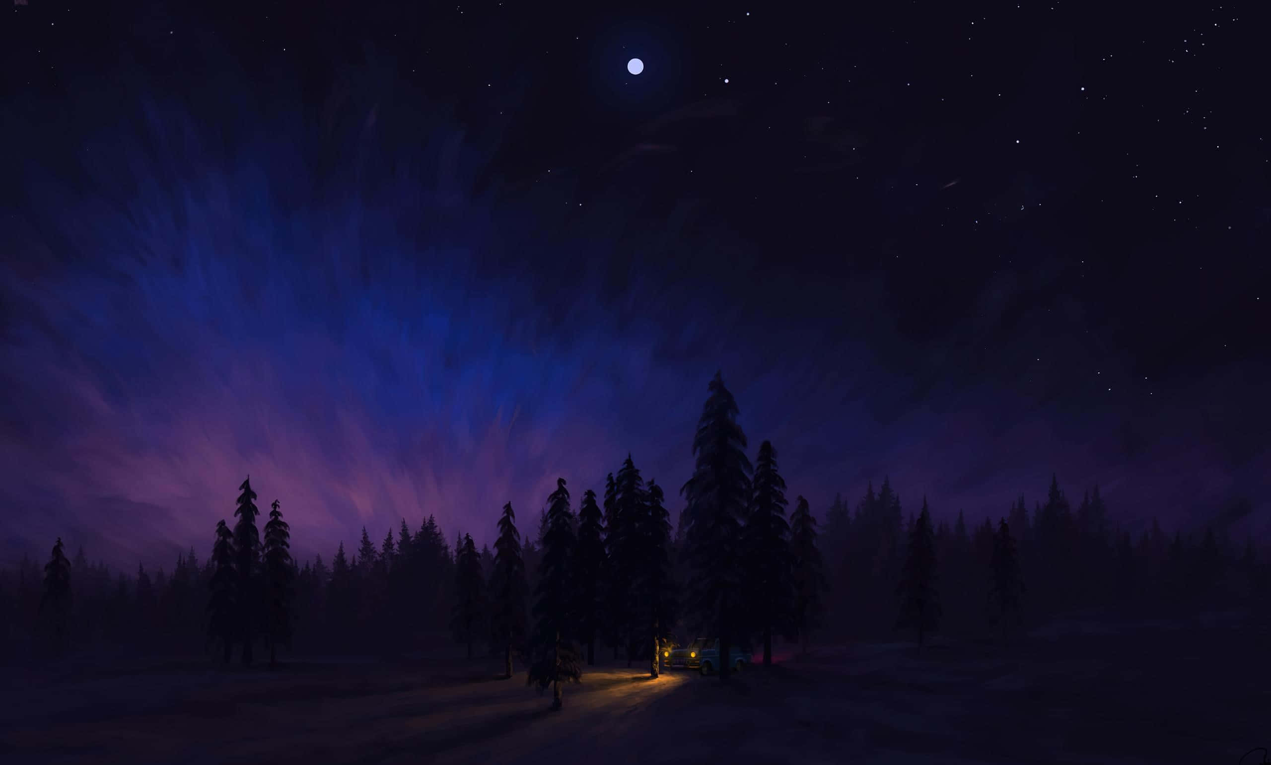 Night Forest, starry night sky, swirling purple and blue auroras, 2K Desktop Wallpaper
