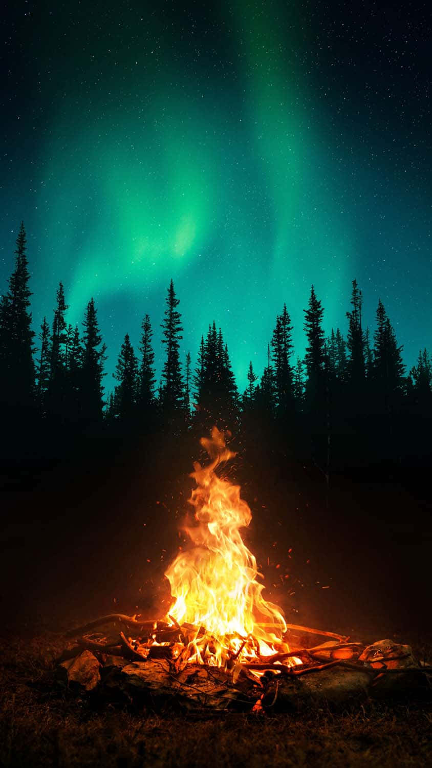 campfire, aurora borealis, green aurora, HD Phone Wallpaper