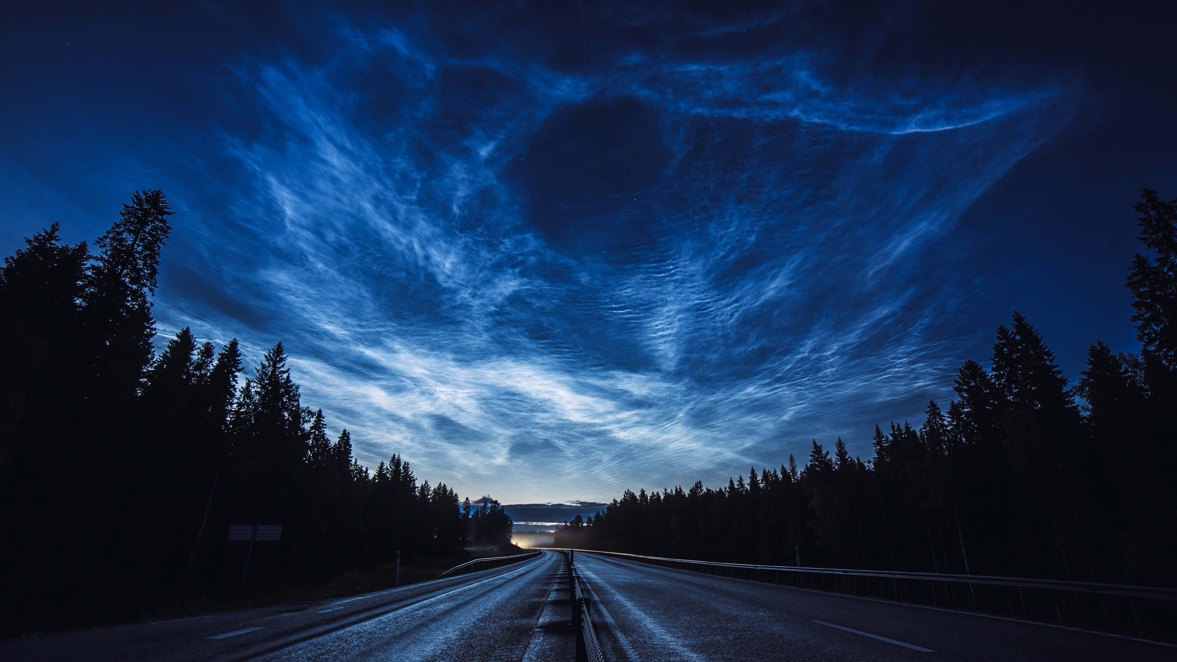 Night Forest, twilight, swirling blue noctilucent clouds, 4K Desktop Wallpaper