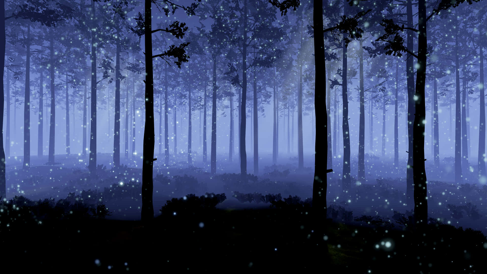 night forest, moonlit night forest, glowing fireflies, Full HD Desktop Wallpaper