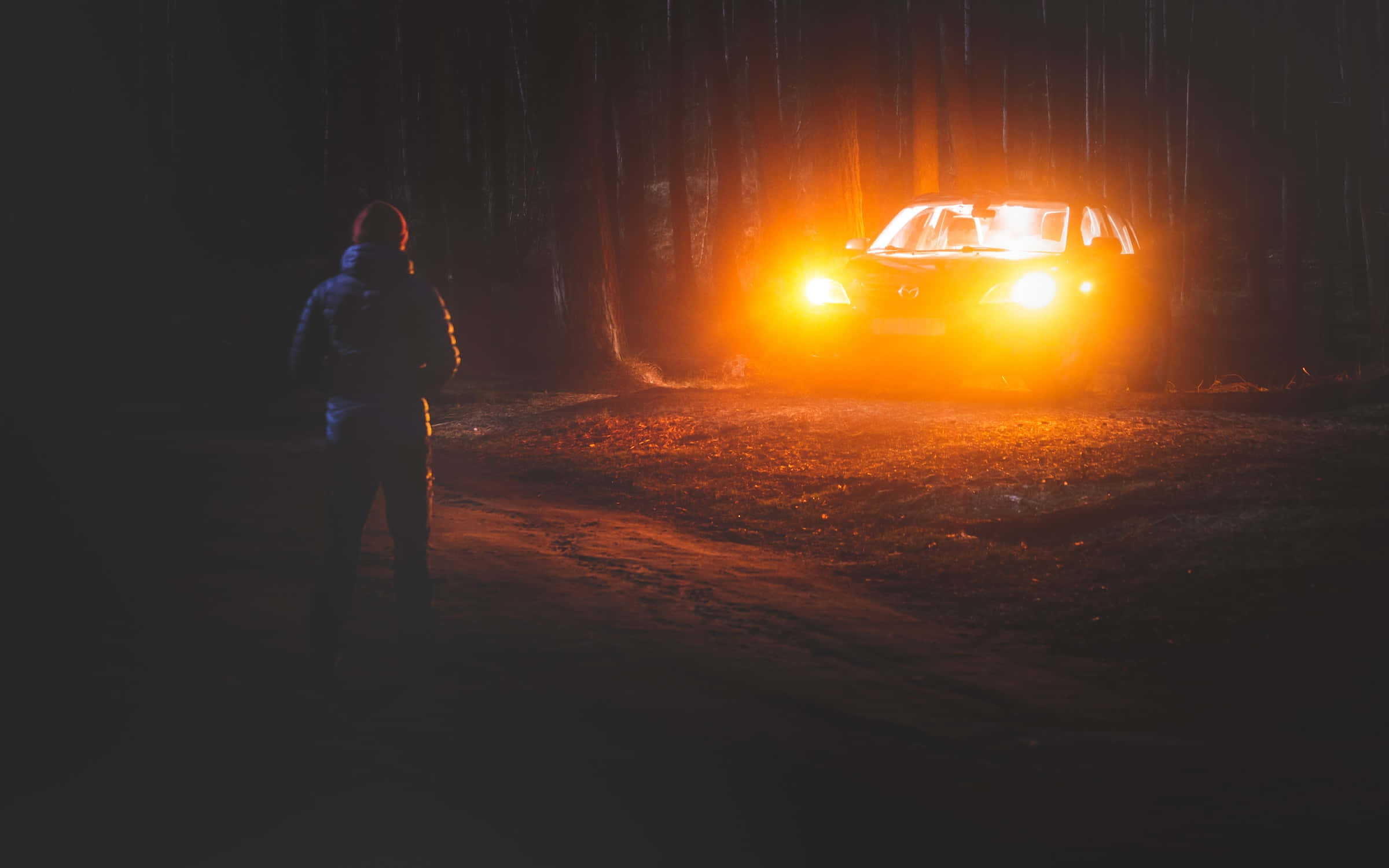 Night Forest, lone figure, dark forest, Full HD Desktop Wallpaper