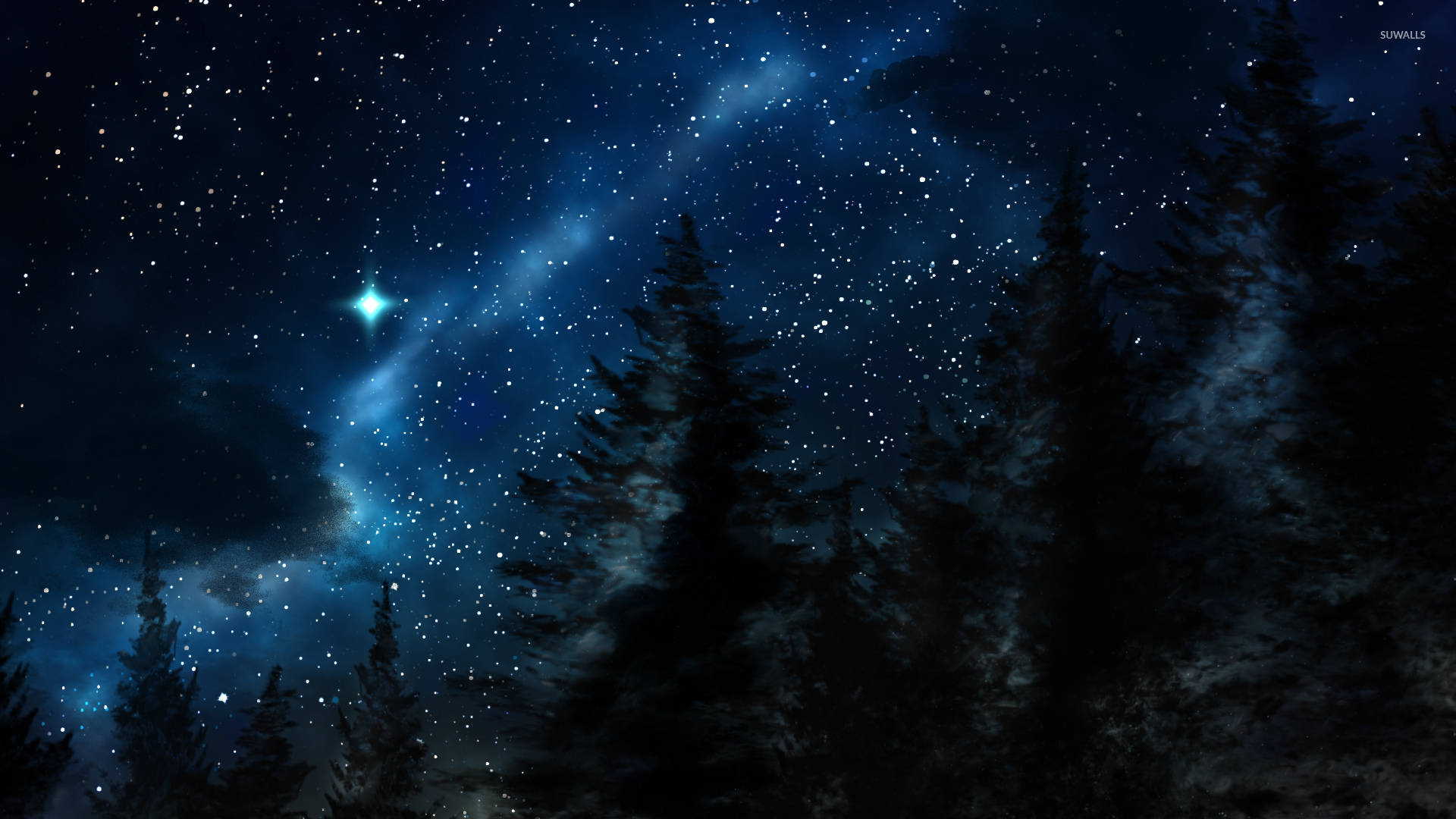 Pretty Blue Starry Night In The Woods, pine trees, night sky, Full HD Desktop Wallpaper