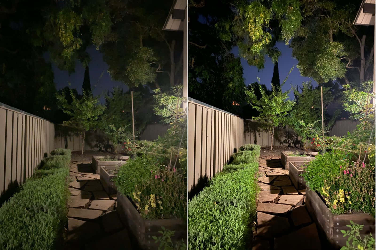 Night Mode, 1600 x 1065, nighttime garden path, HD Desktop Wallpaper