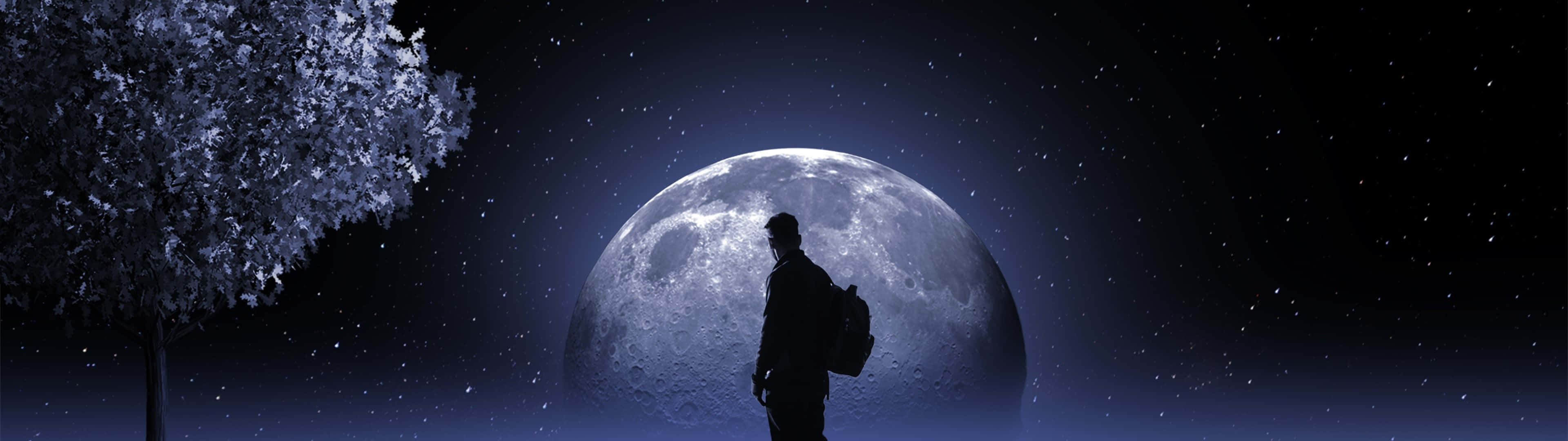 moonlit solitude panorama, massive glowing moon, snow-dusted tree, 4K Desktop Wallpaper