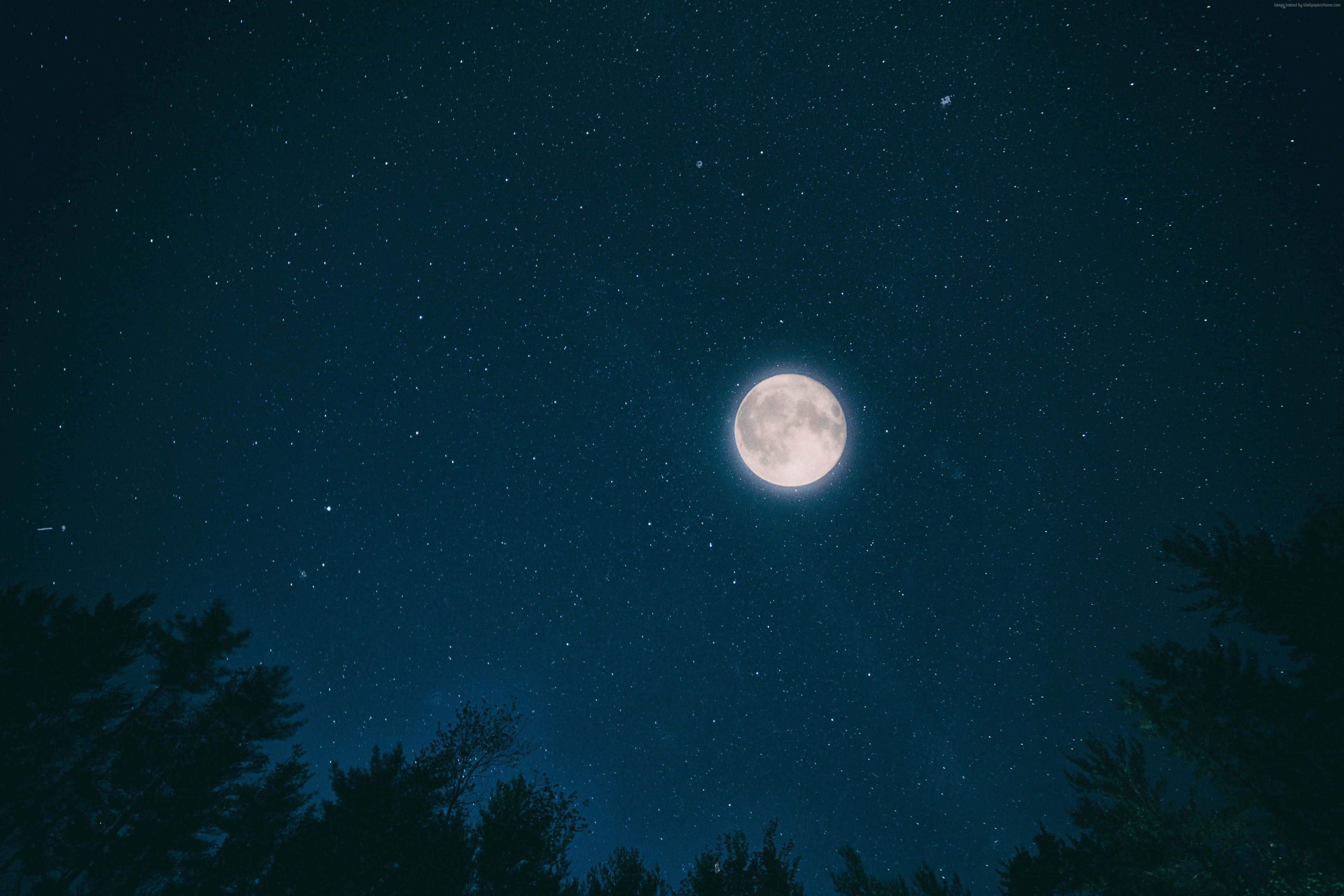 luminous full moon, starry night sky, dark tree silhouettes, 4K Desktop Wallpaper