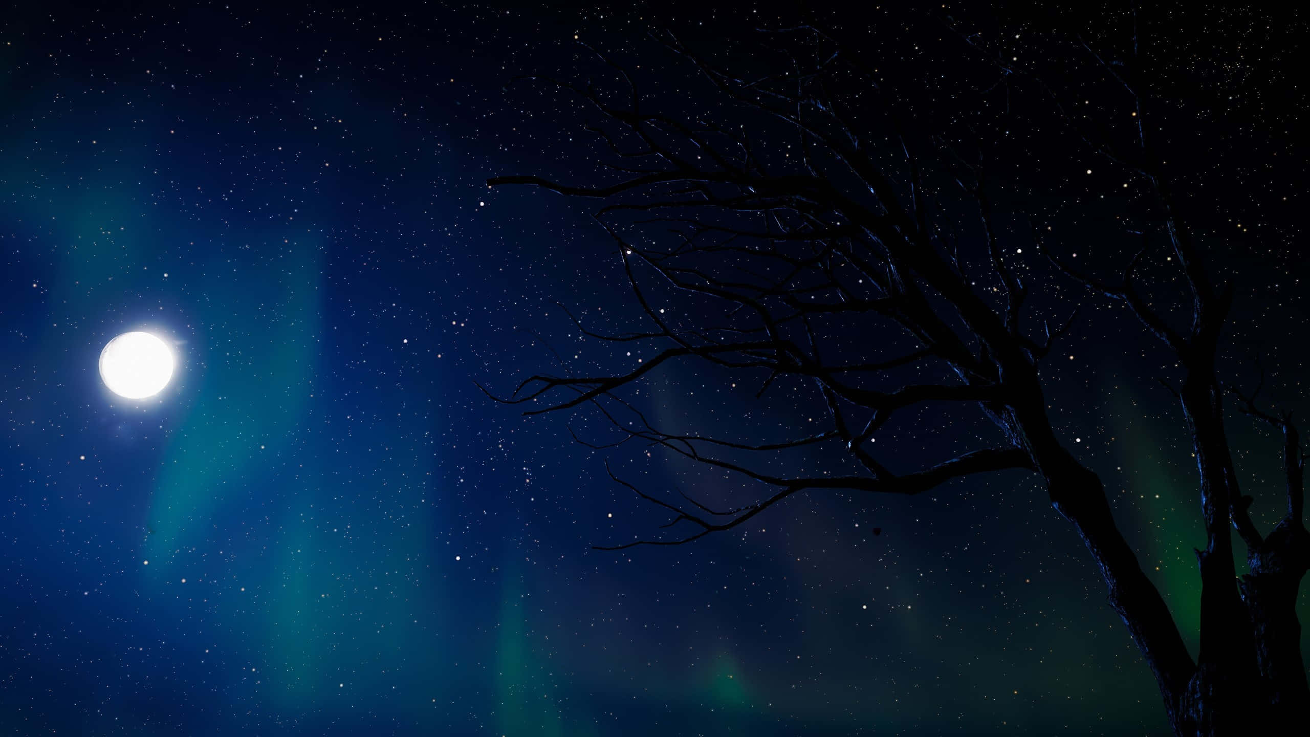 moonlit night, aurora borealis, starry night sky, 2K Desktop Wallpaper