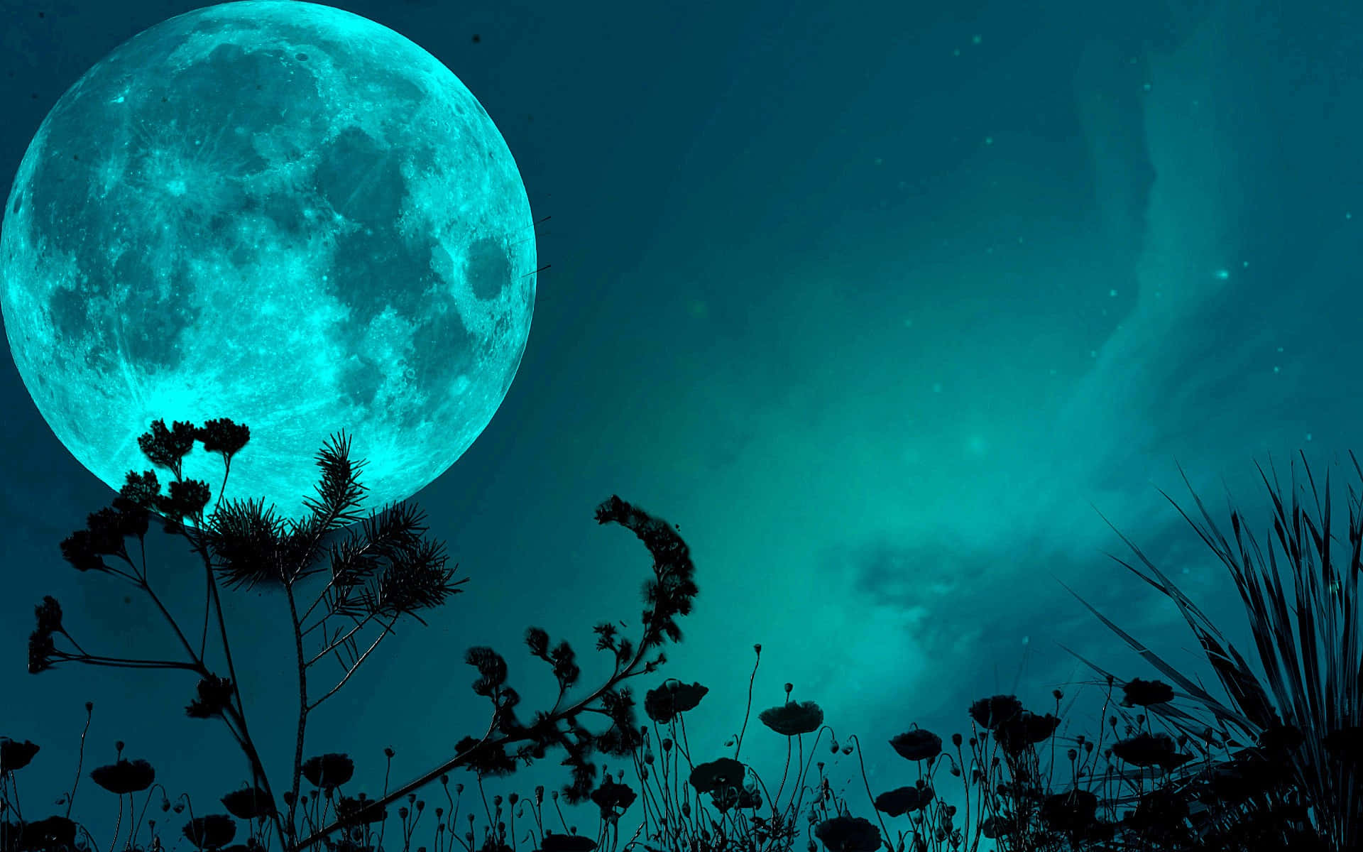 enchanted moonlit night sky, glowing cyan moon, silhouetted wildflowers, Full HD Desktop Wallpaper