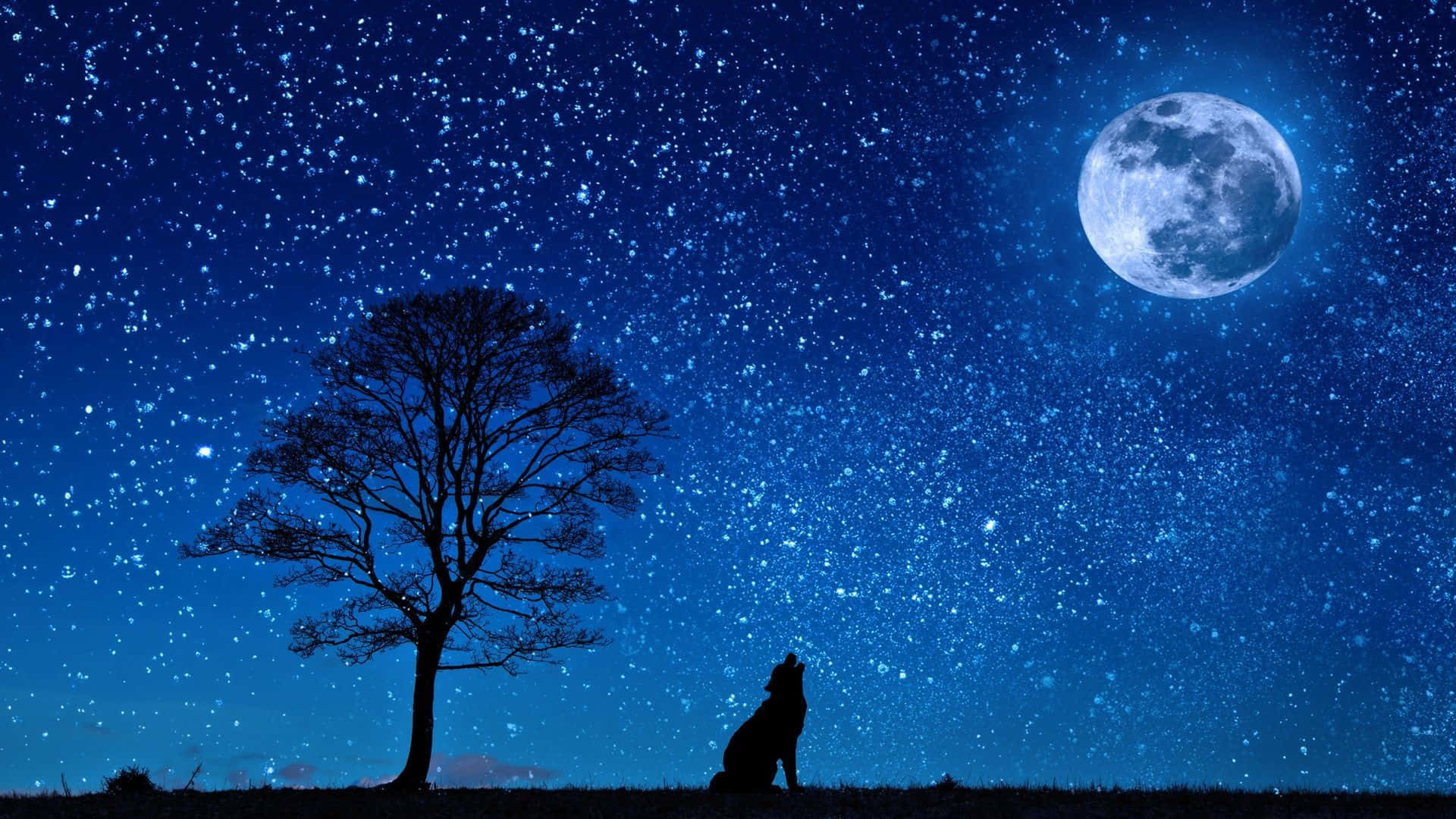 Starry Night, full moon, wolf silhouette, Full HD Desktop Wallpaper