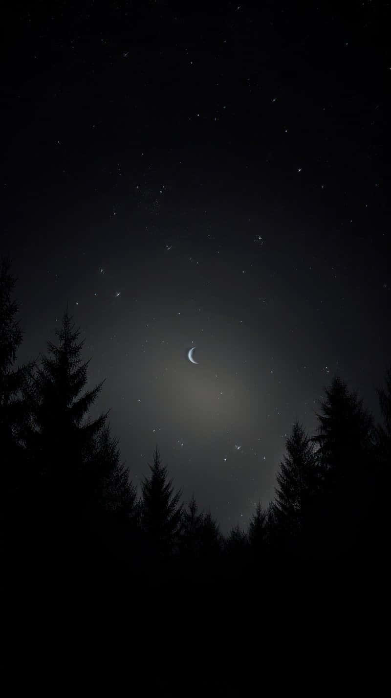 crescent moon, dense forest silhouette, starry night sky, HD Phone Wallpaper