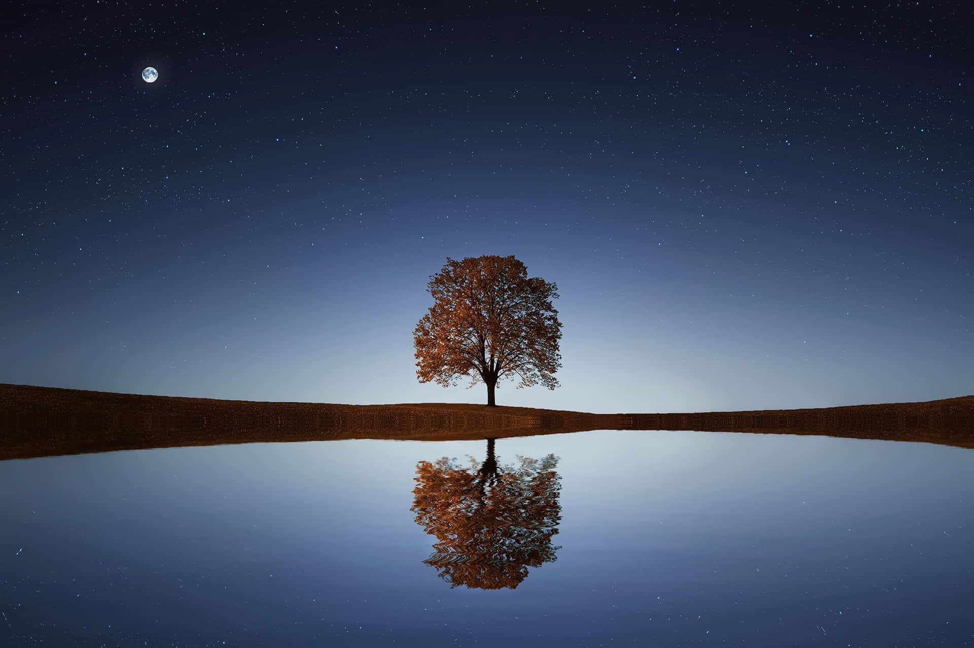 solitary tree, night sky, reflection, Full HD Desktop Wallpaper