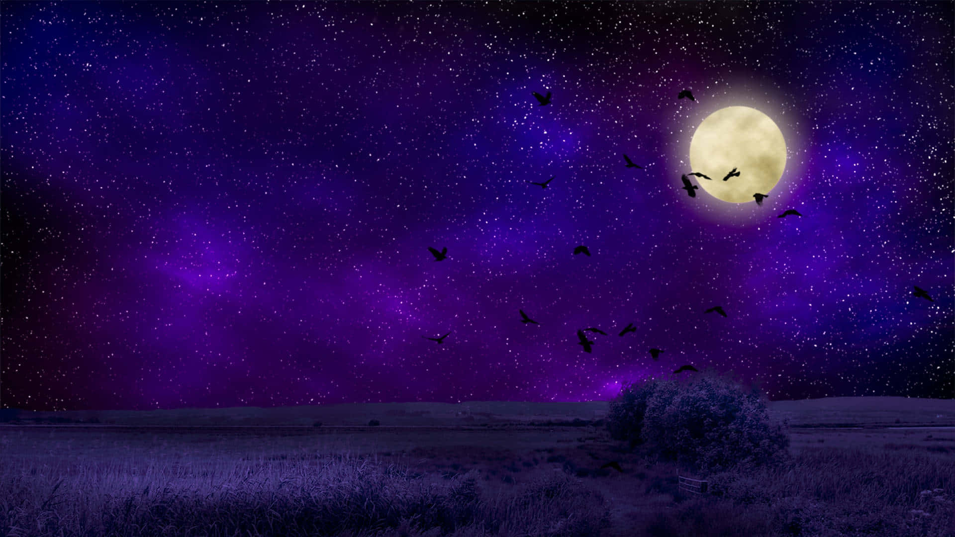 starry night sky, glowing full moon, silhouetted birds, Full HD Desktop Wallpaper