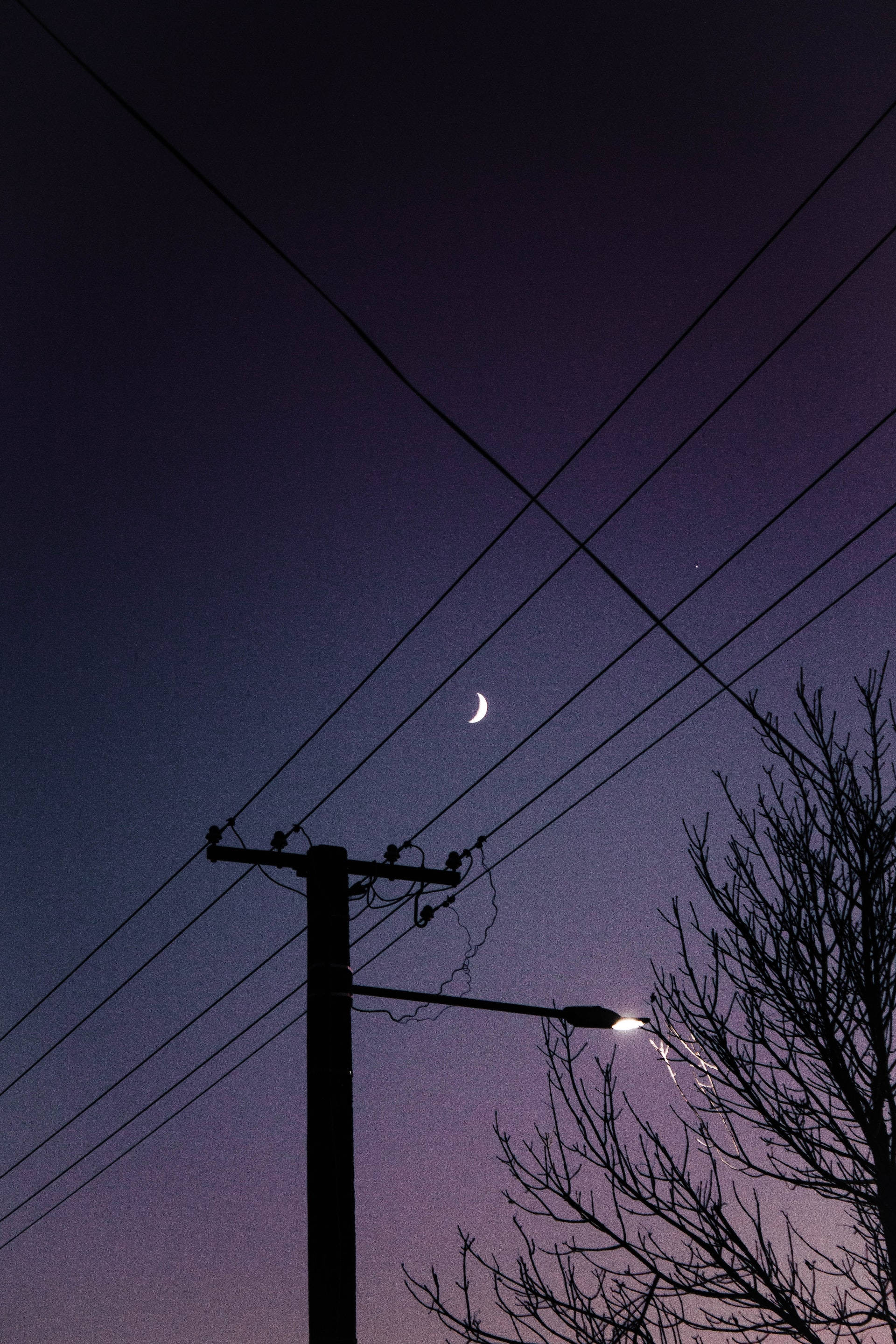 crescent moon, power lines, bare tree branches, 2K Phone Wallpaper