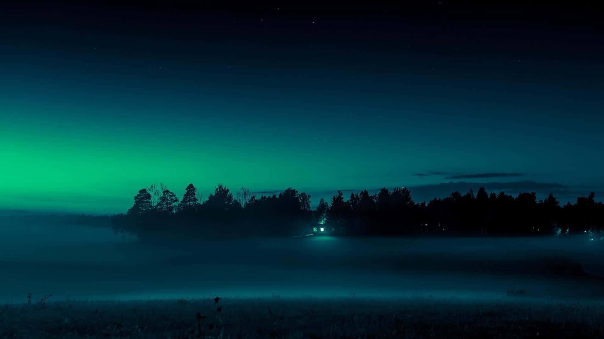 aurora, starry night sky, misty forest, Full HD Desktop Wallpaper