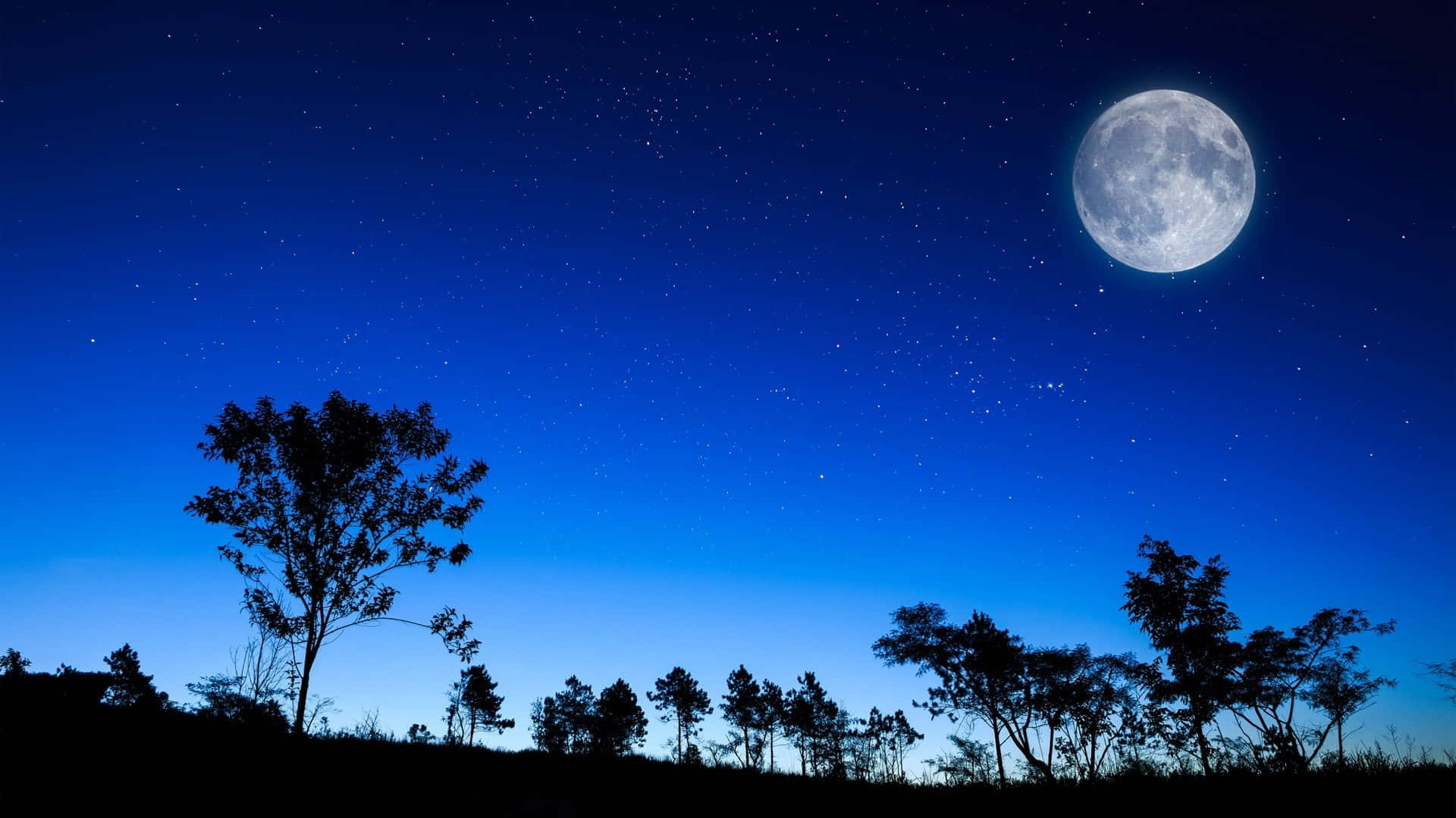 full moon, starry deep blue night sky, silhouetted trees, Full HD Desktop Wallpaper