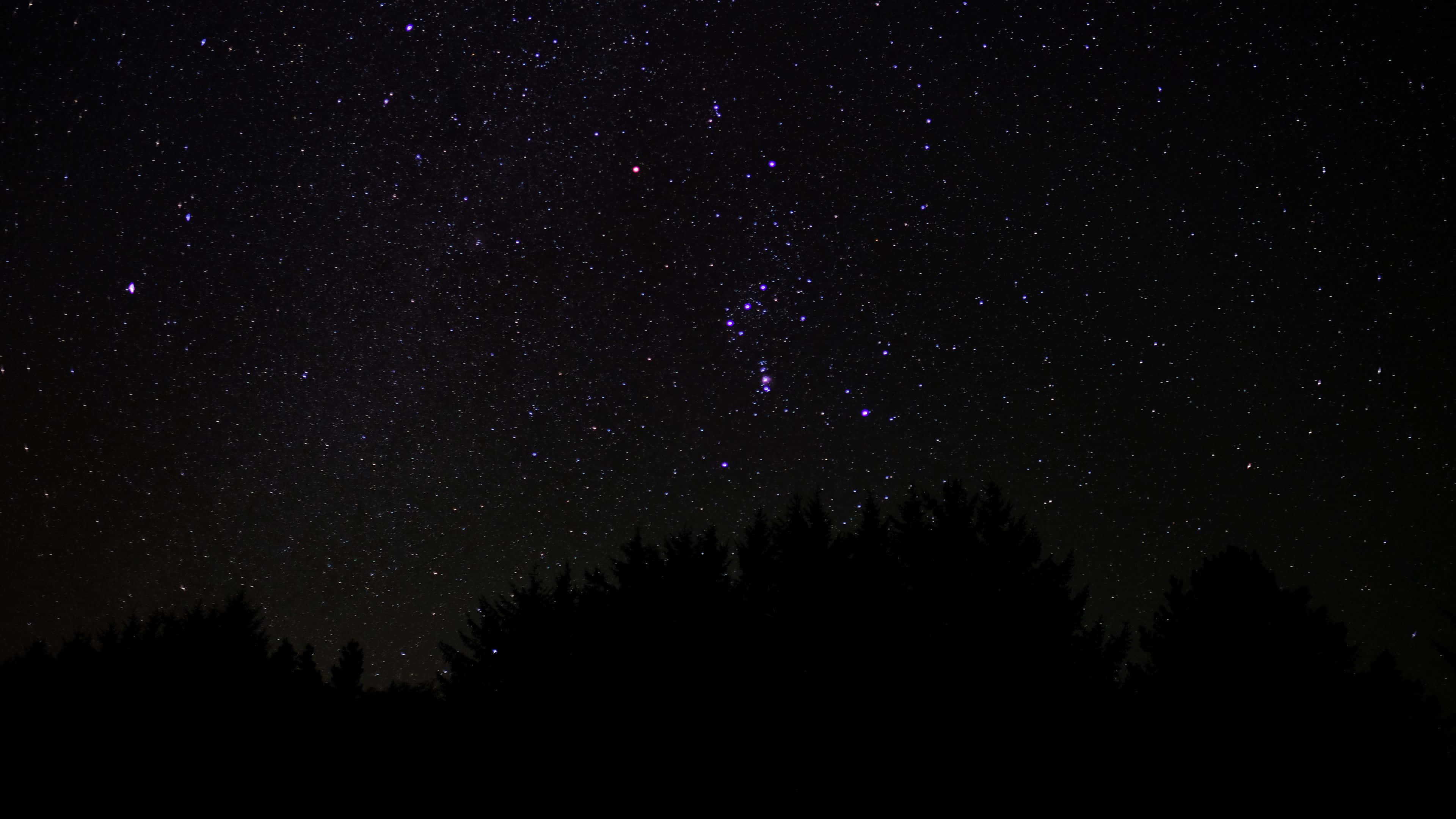 Starry Night Sky, silhouetted forest, pine trees, 4K Desktop Wallpaper