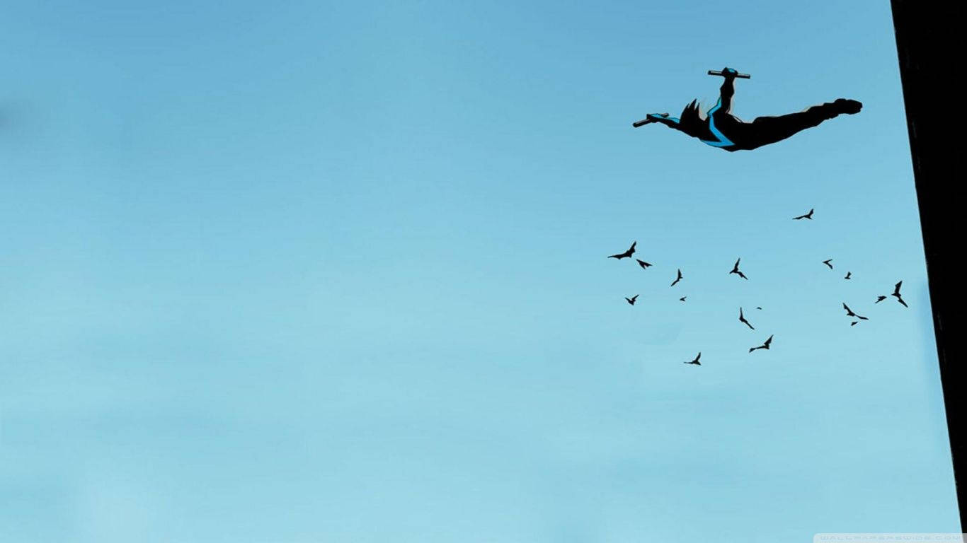 Nightwing, silhouette, blue sky, HD Desktop Wallpaper