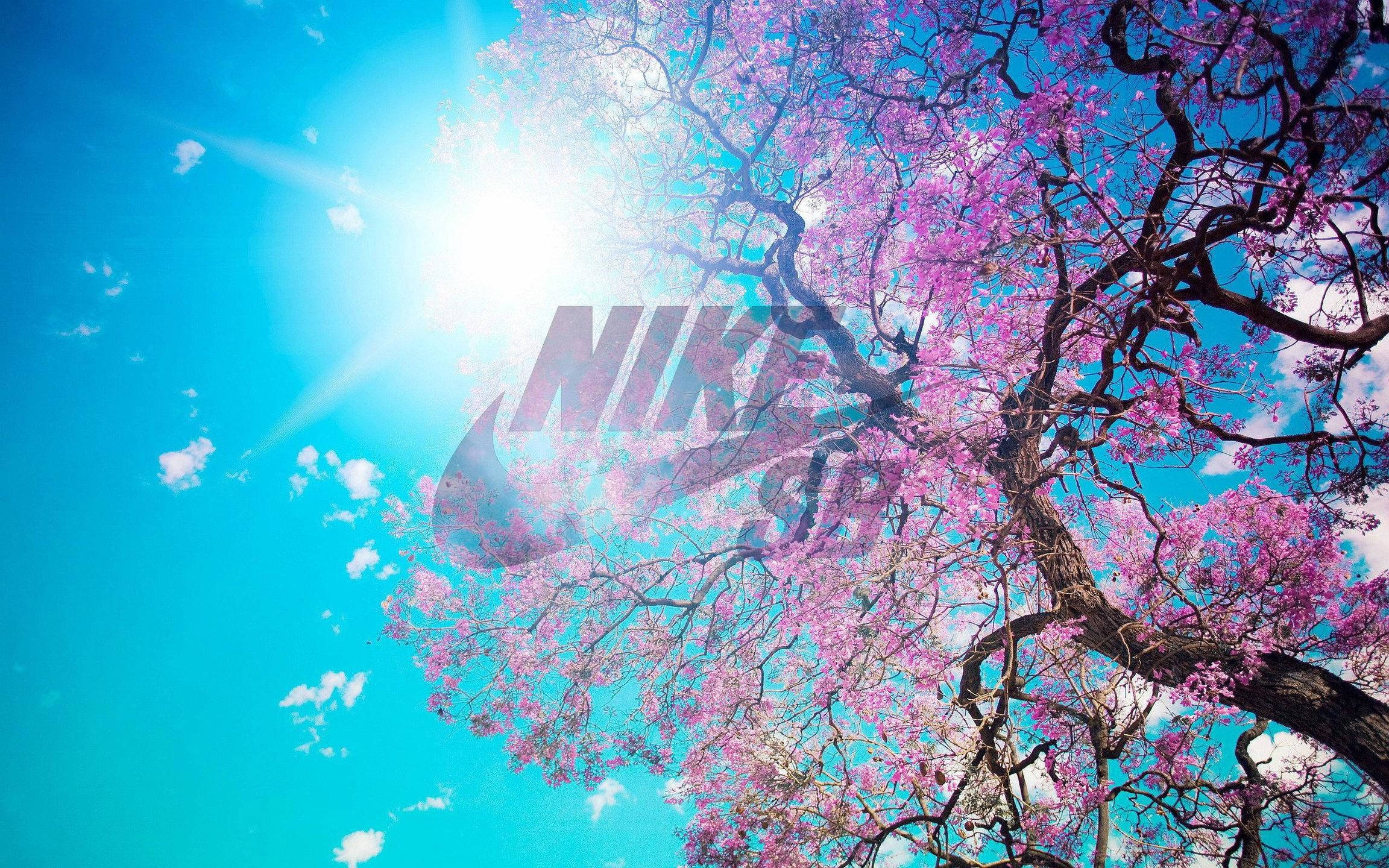 Nike girl, cherry blossom tree, pink tree, Full HD Desktop Wallpaper