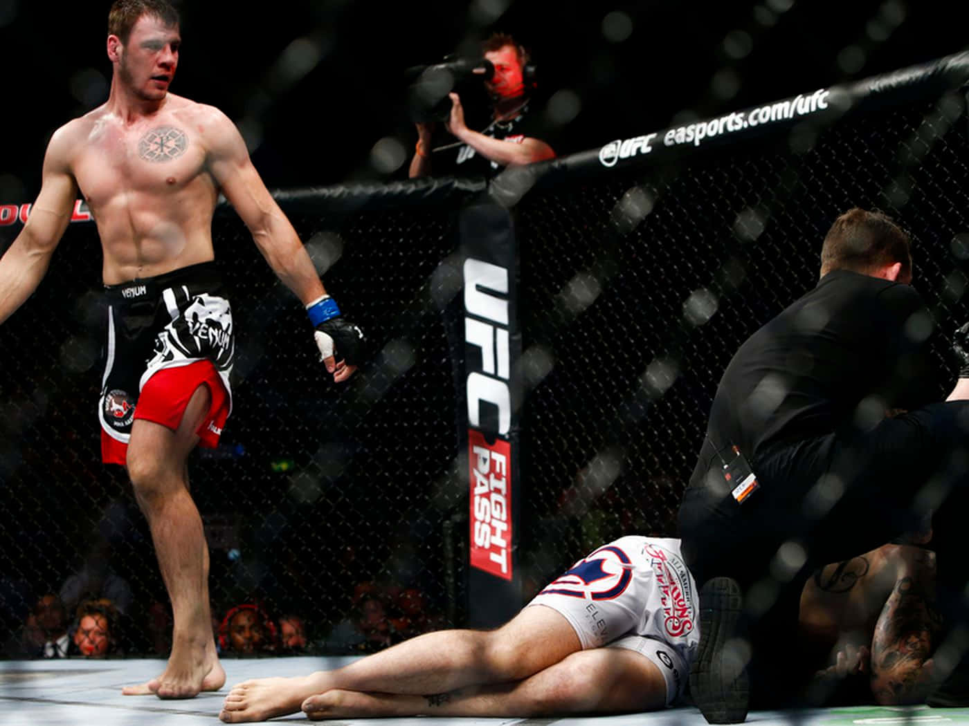 Nikita Krylov, UFC fighter, octagon, HD Desktop Wallpaper