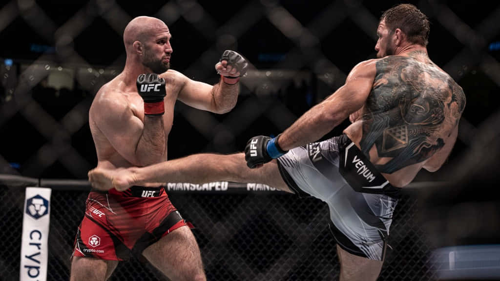 Nikita Krylov, MMA fighters, octagon, SD Desktop Wallpaper