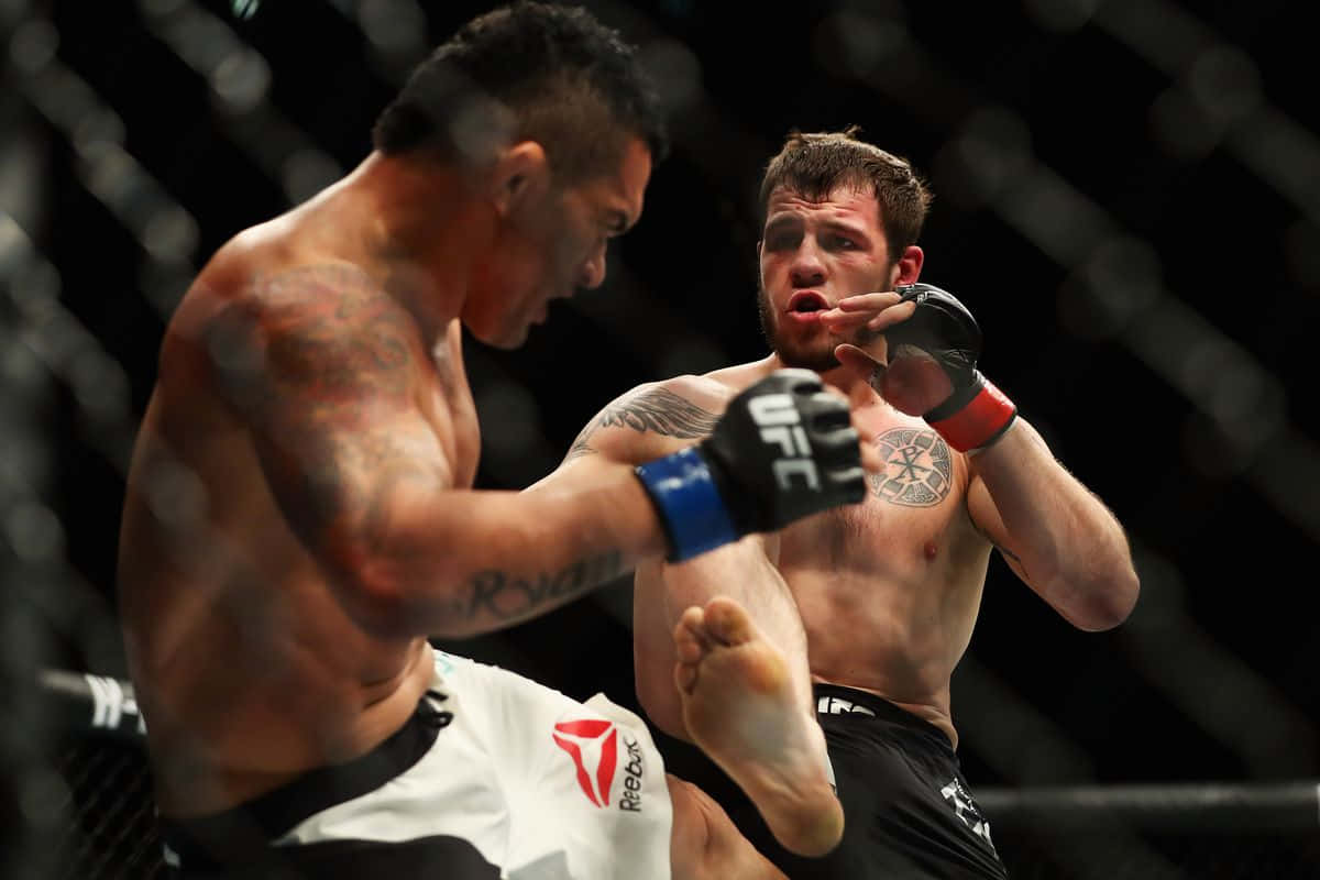 Nikita Krylov, MMA match, dimly lit octagon, SD Desktop Wallpaper