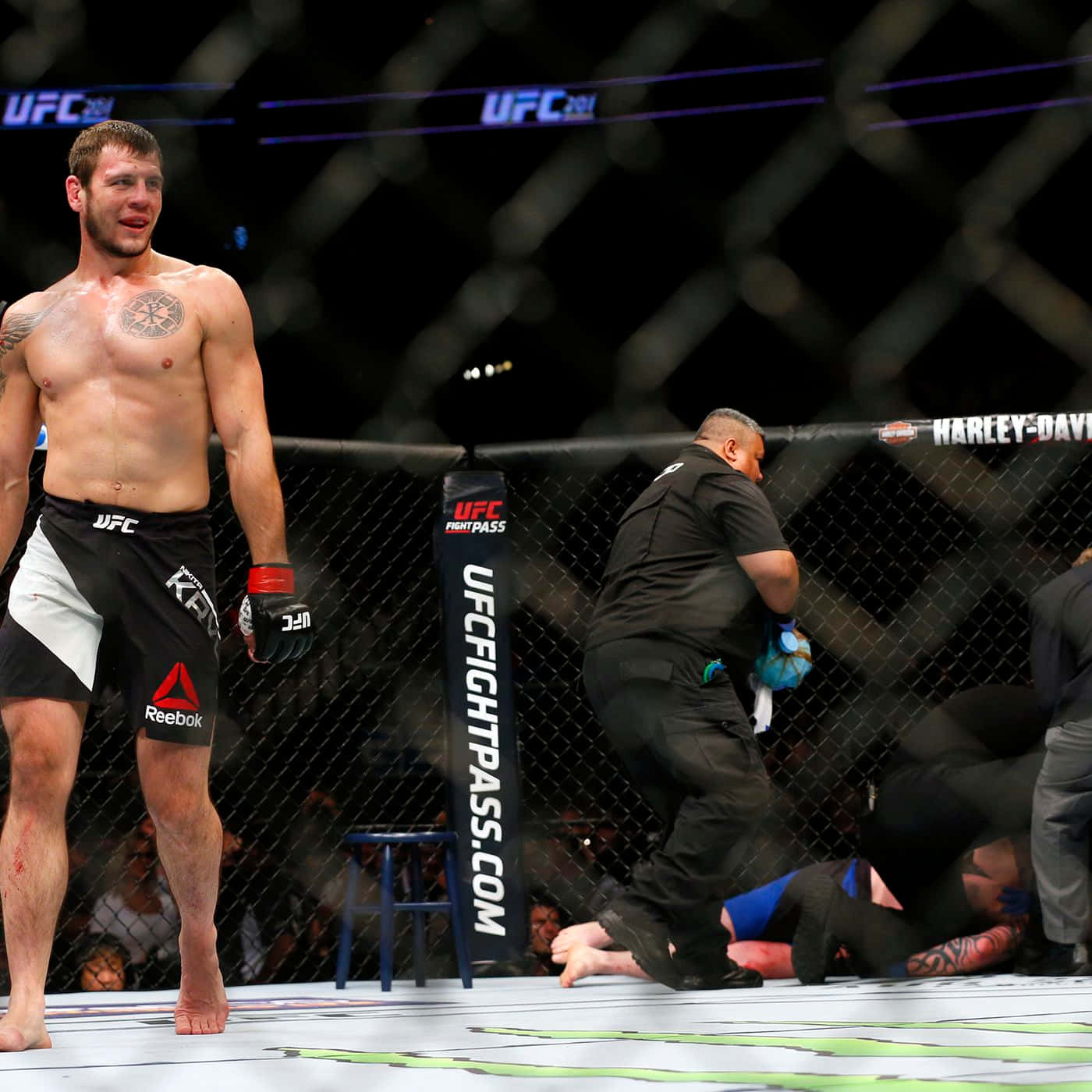 Nikita Krylov, UFC fighter, octagon, HD Desktop Wallpaper