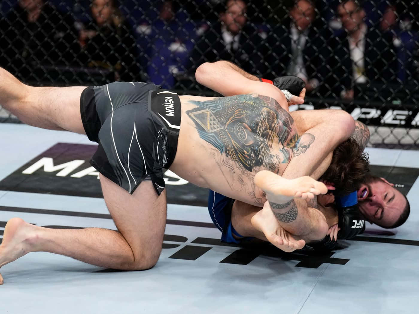 Nikita Krylov, MMA octagon mat, headlock, HD Desktop Wallpaper