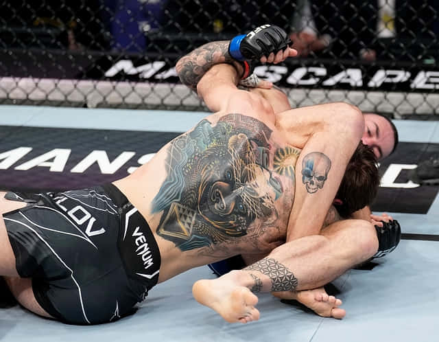 Nikita Krylov, blue octagon mat, bright arena lights, SD Desktop Wallpaper