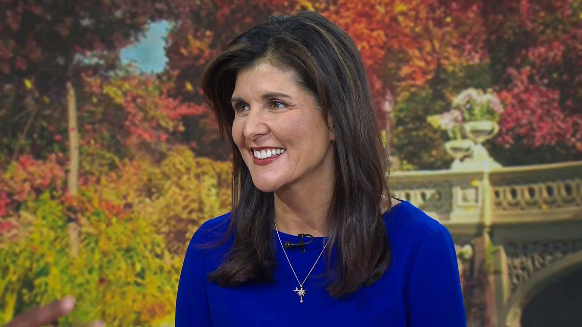 Nikki Haley, blue top, autumnal backdrop, Full HD Desktop Wallpaper