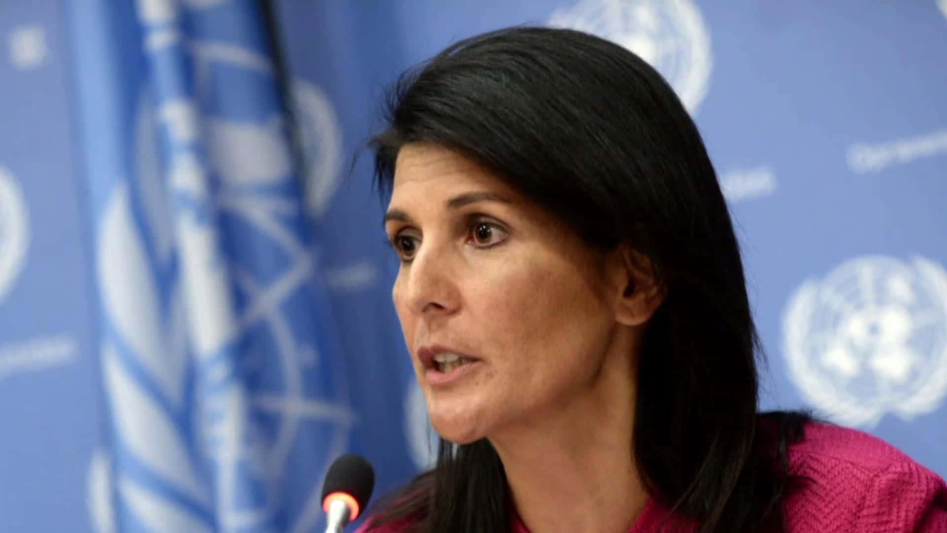 Nikki Haley, microphone, blue UN flag, Full HD Desktop Wallpaper