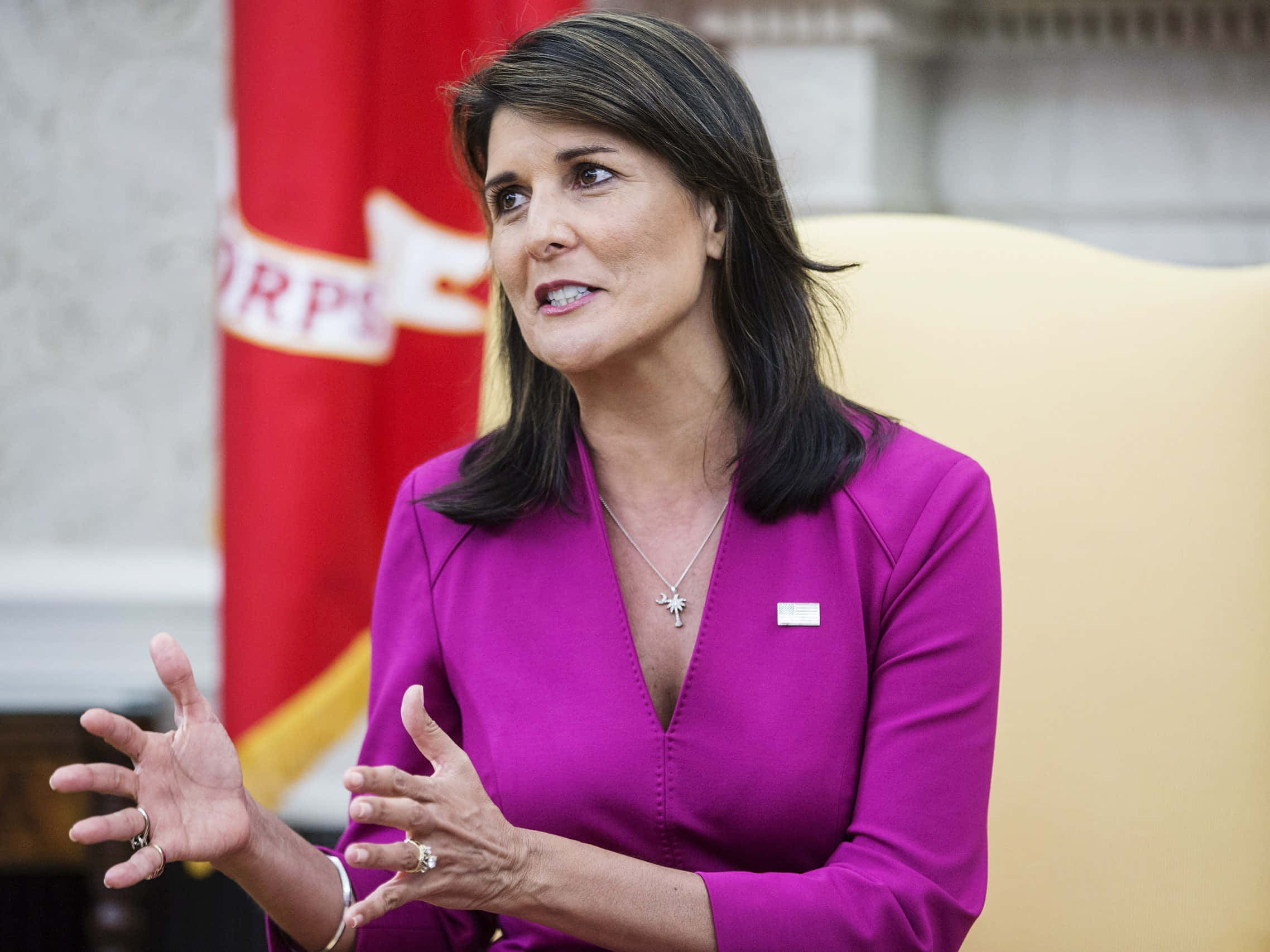 Nikki Haley, vibrant purple blazer, red flag, Full HD Desktop Wallpaper