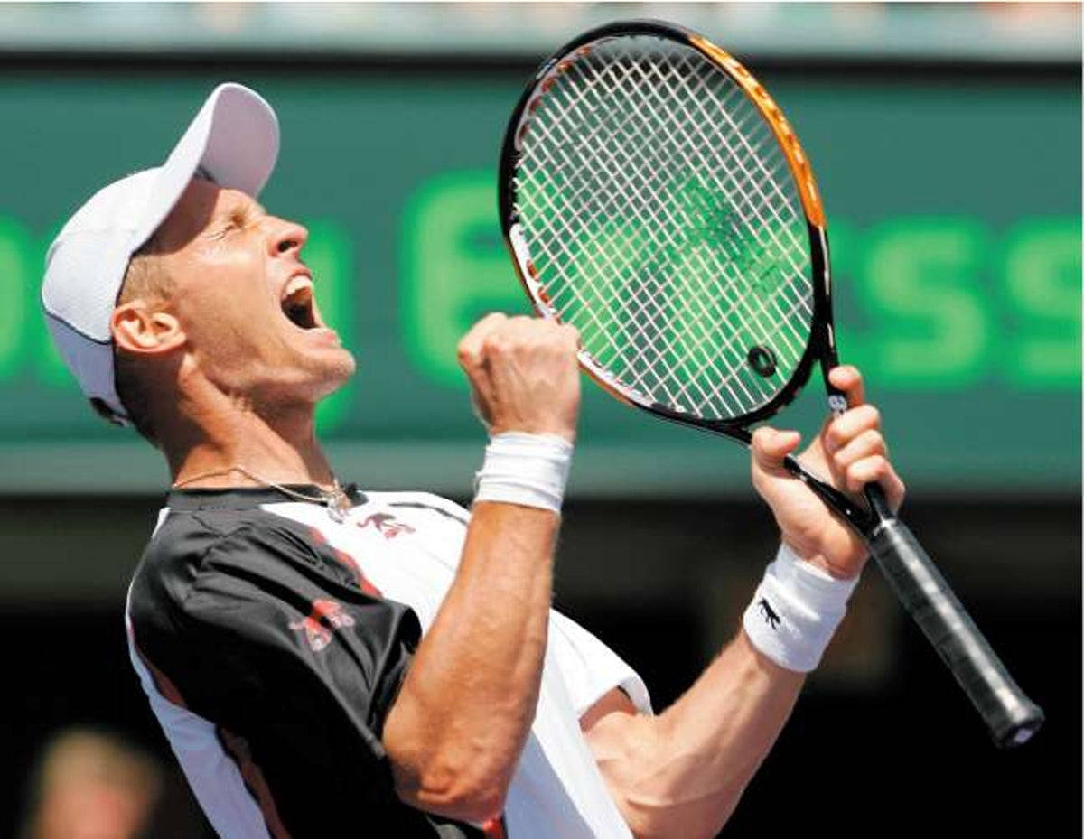 Nikolay Davydenko, tennis player, racket, SD Desktop Wallpaper