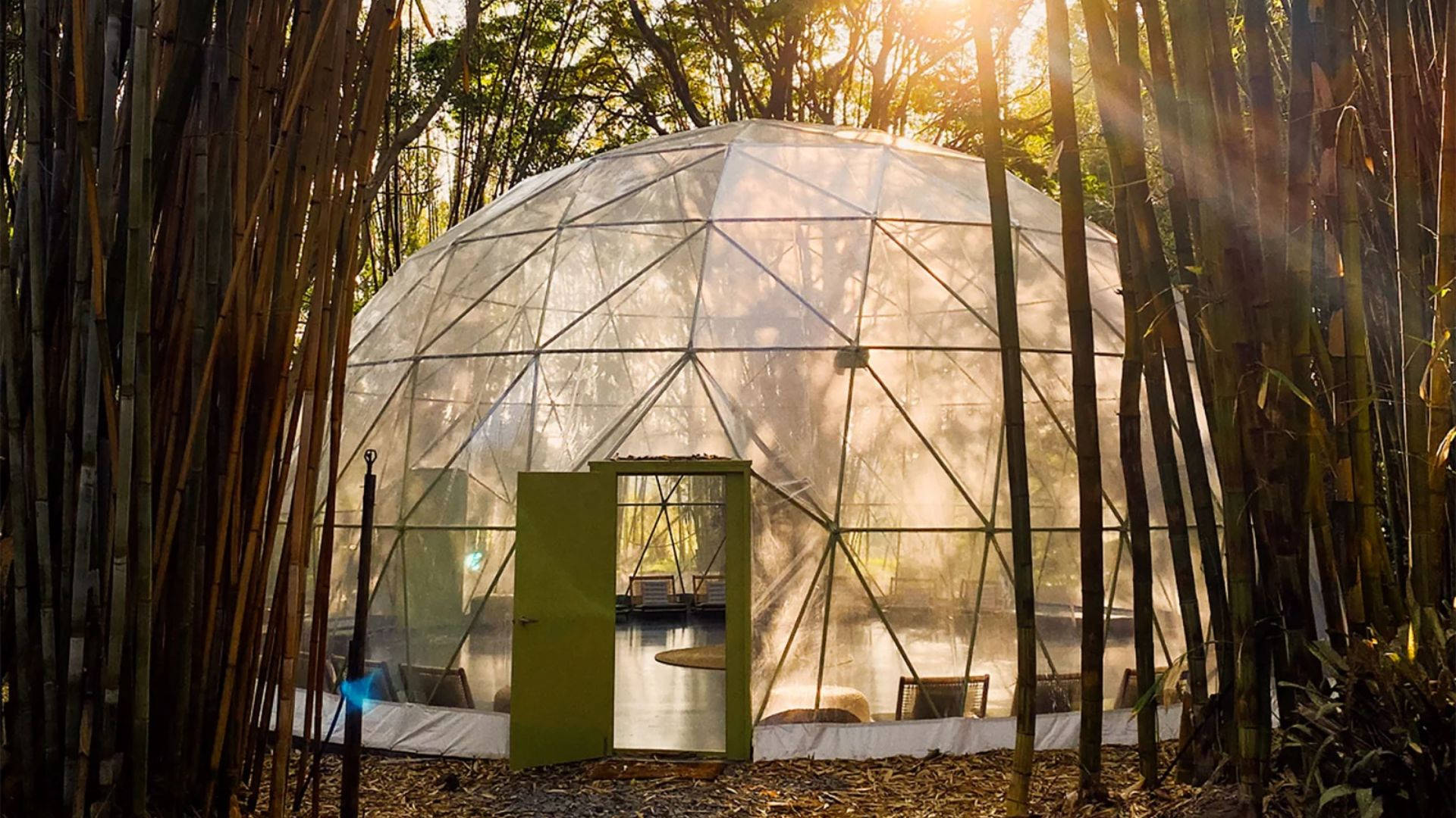 Nine Perfect Strangers, geodesic dome, bamboo stalks, Full HD Desktop Wallpaper