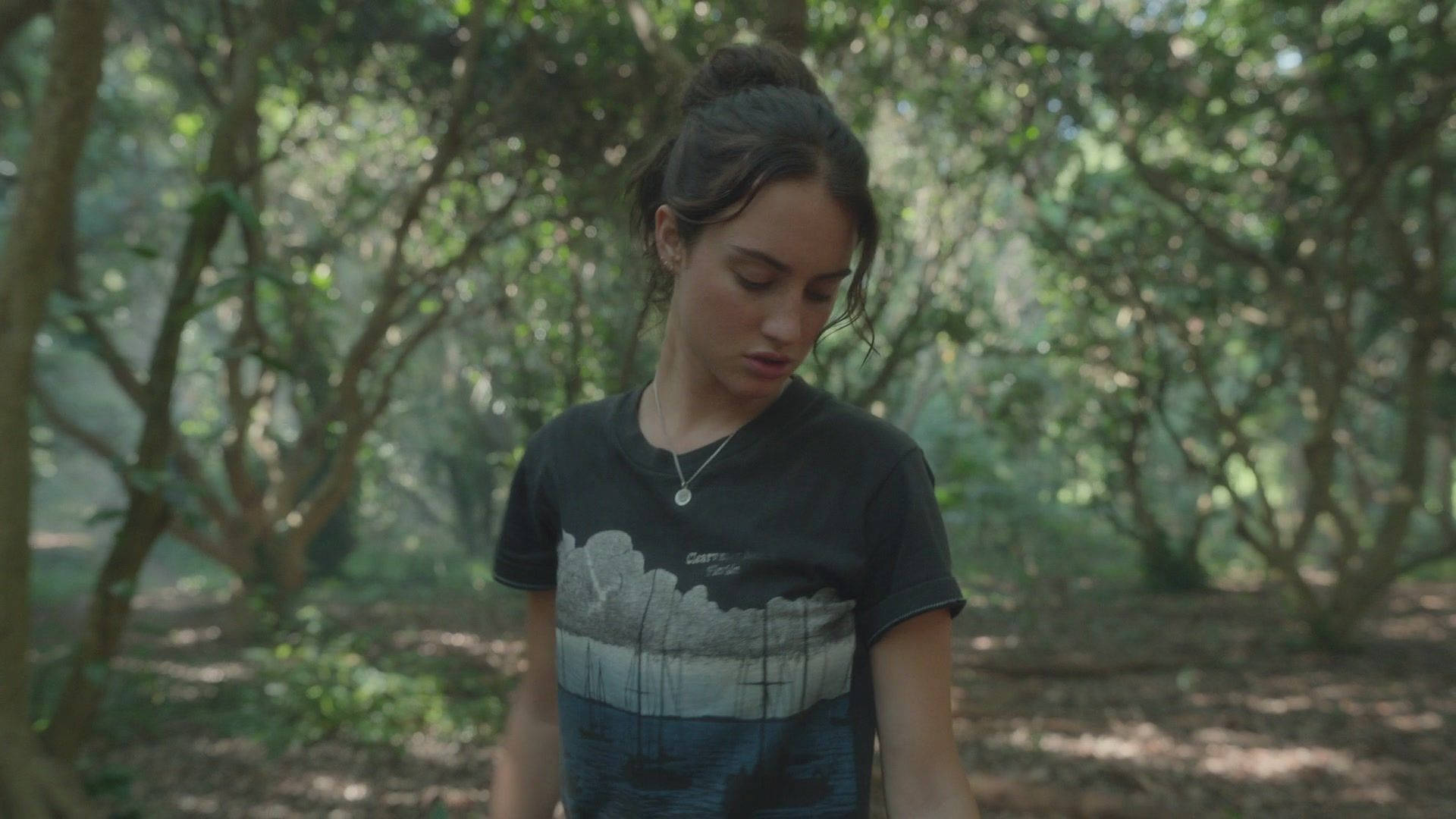 Nine Perfect Strangers, woods, sun-dappled forest, Full HD Desktop Wallpaper