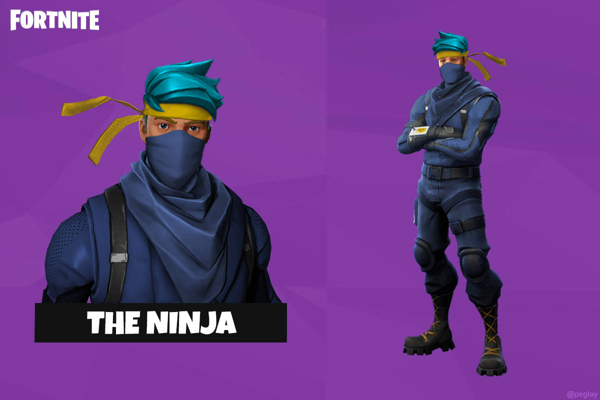 The Ninja Fortnite, Fortnite character The Ninja, blue ninja gear, SD Desktop Wallpaper