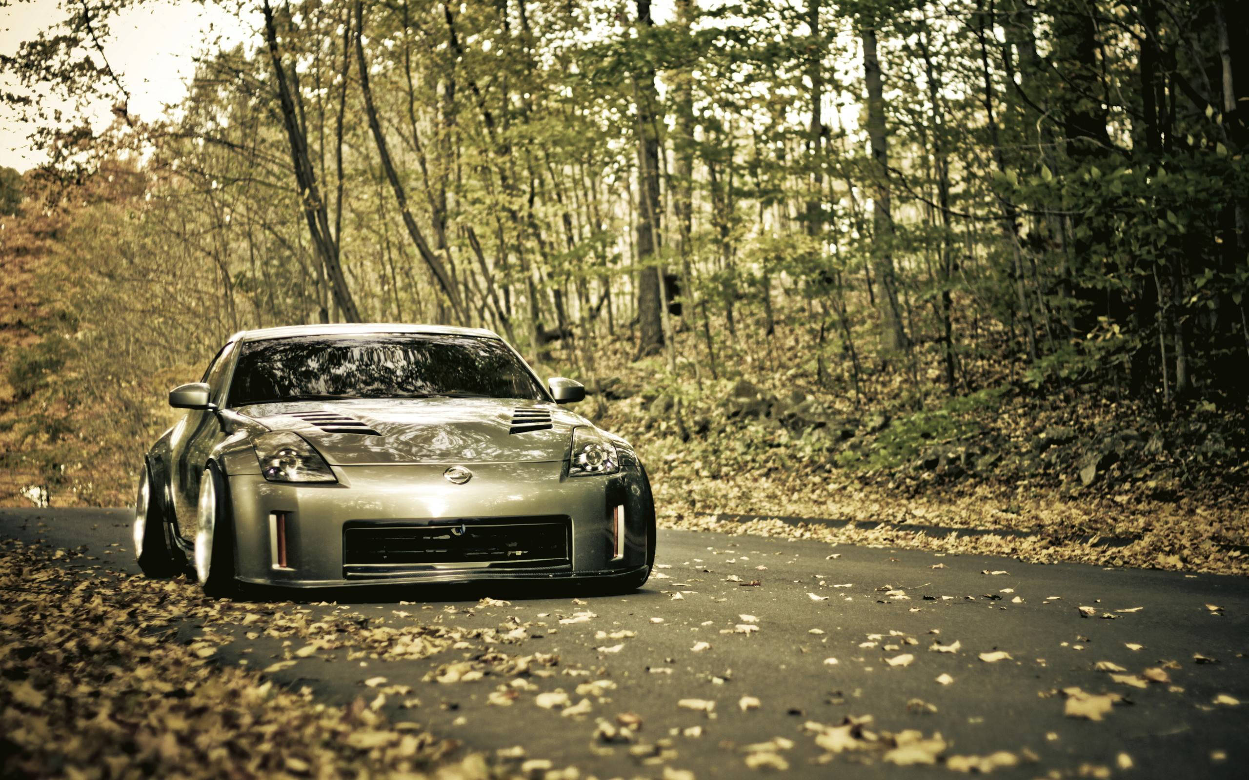Nissan 350z, silver, forest road, 2K Desktop Wallpaper