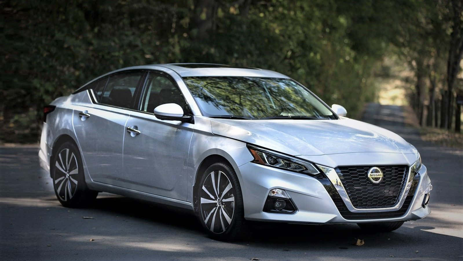 Nissan Altima, silver, tree-lined road, HD Desktop Wallpaper